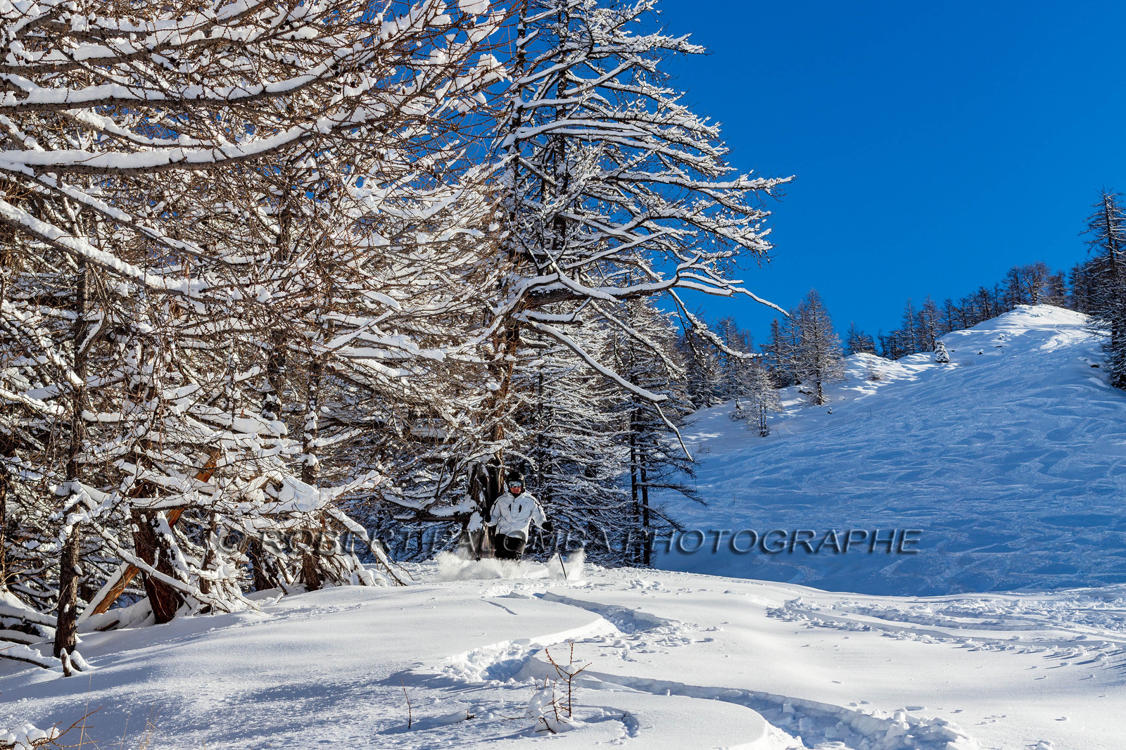 Auron