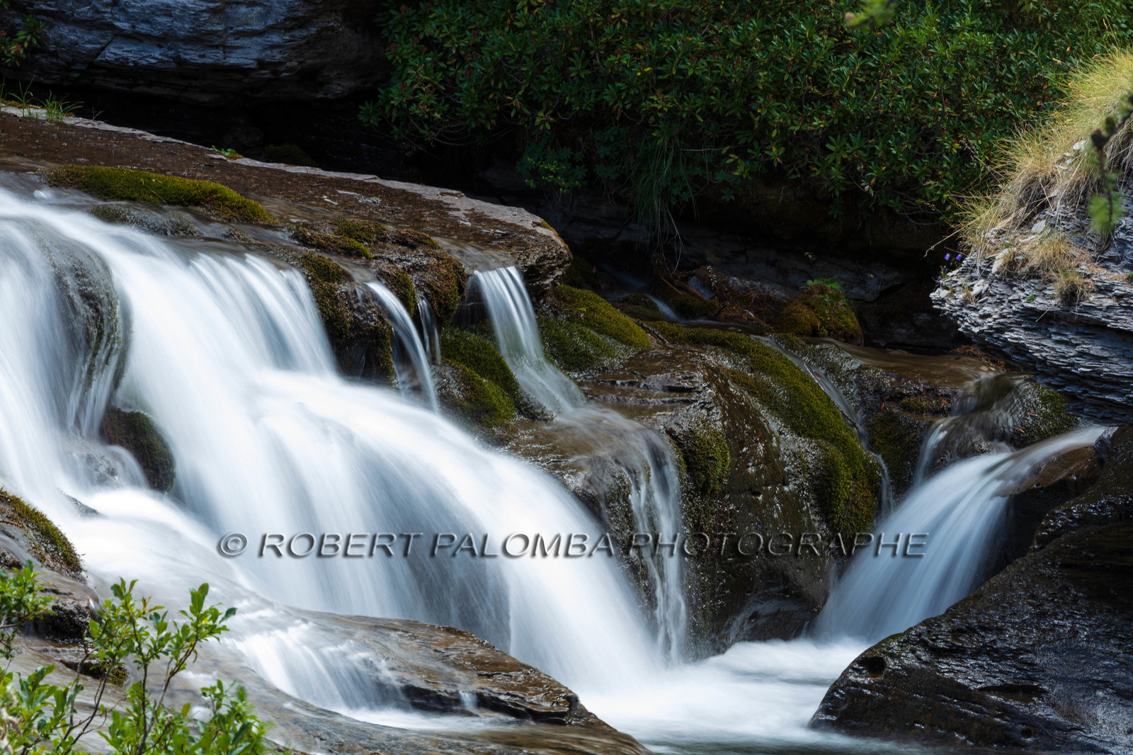 Torrent