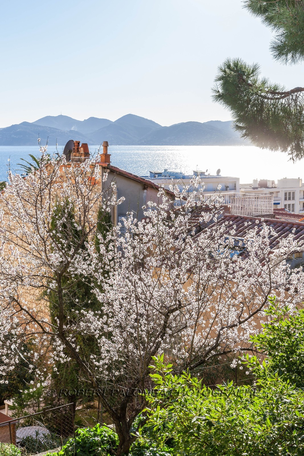 Cannes