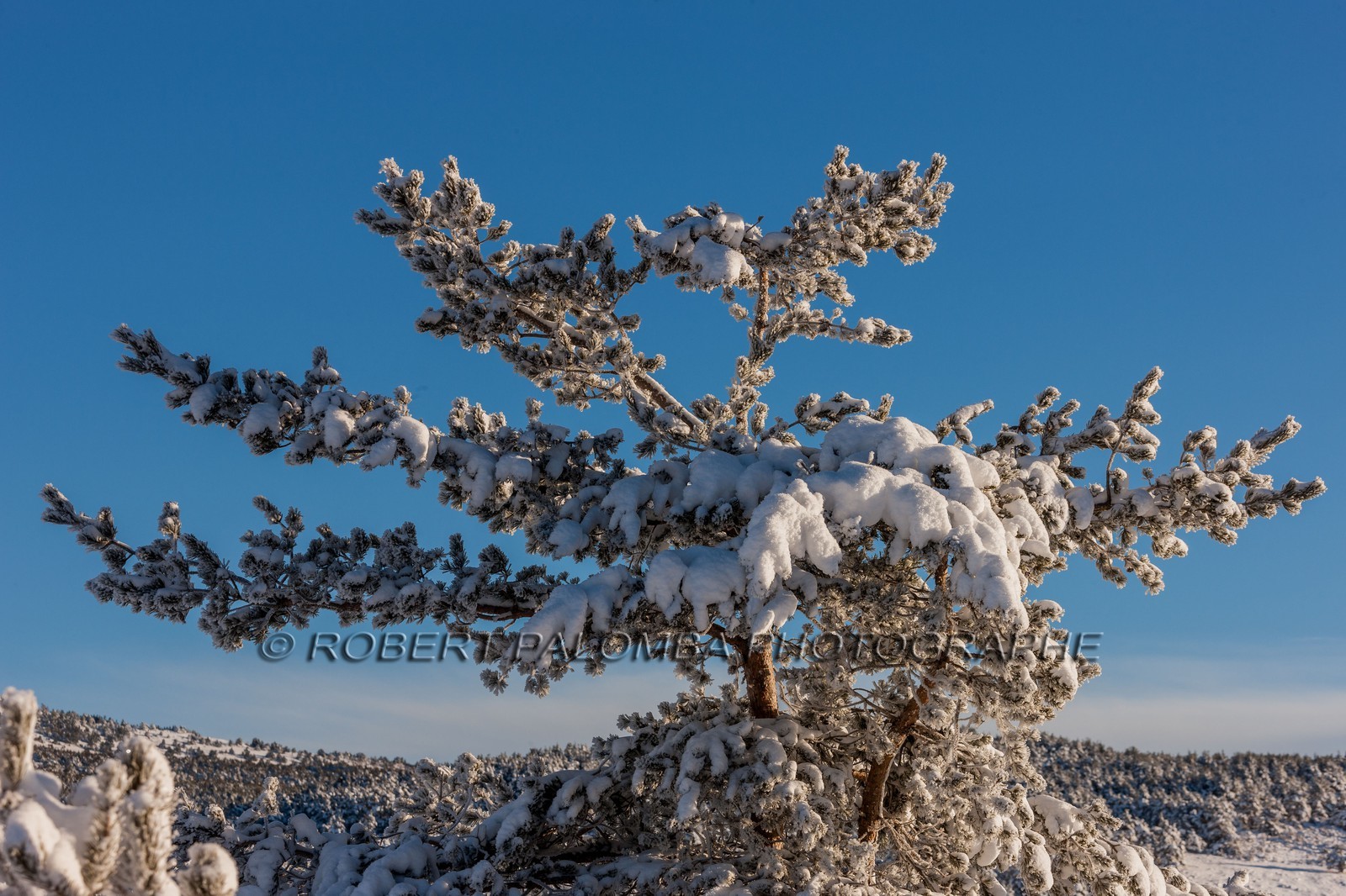 Gréolières-les-Neiges