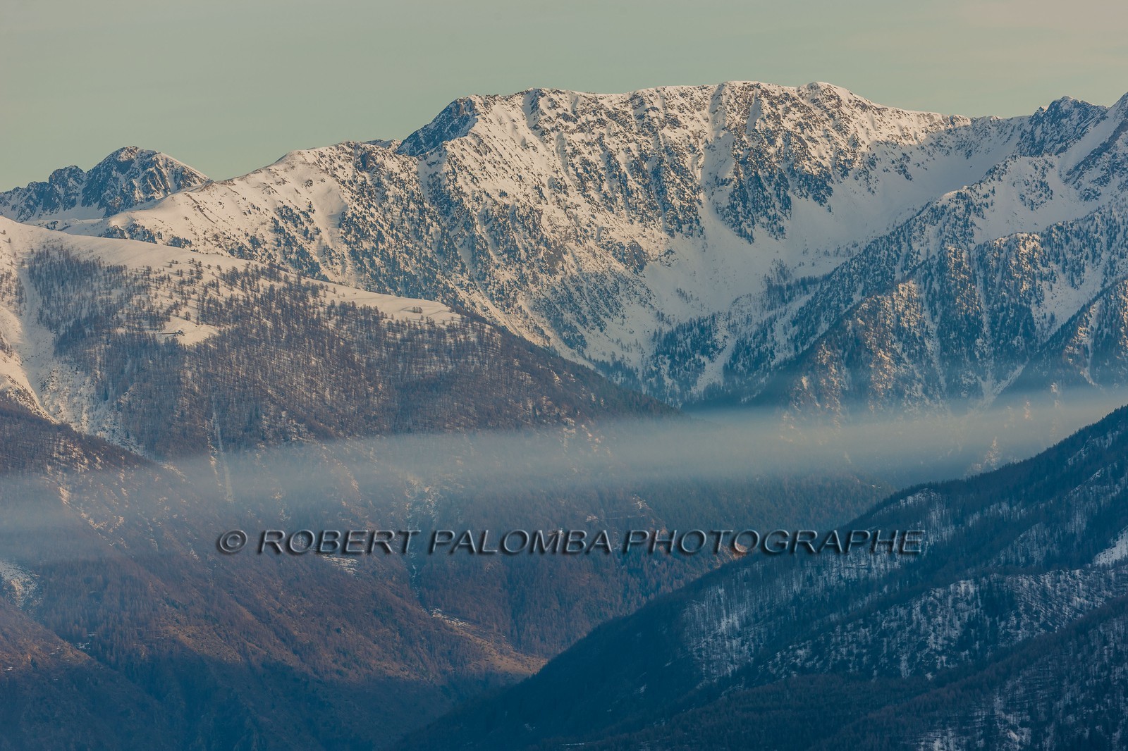 Auron