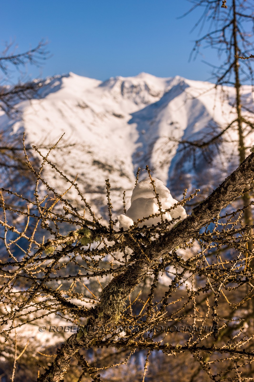 Auron