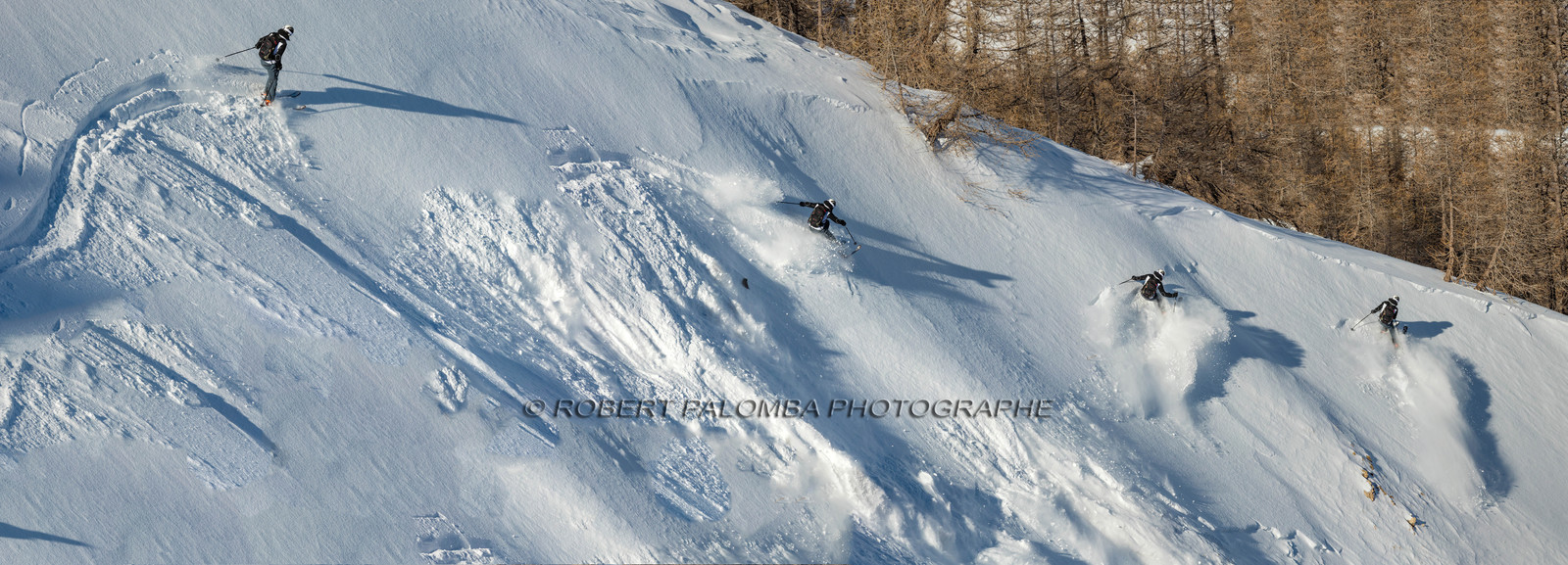 Freeride