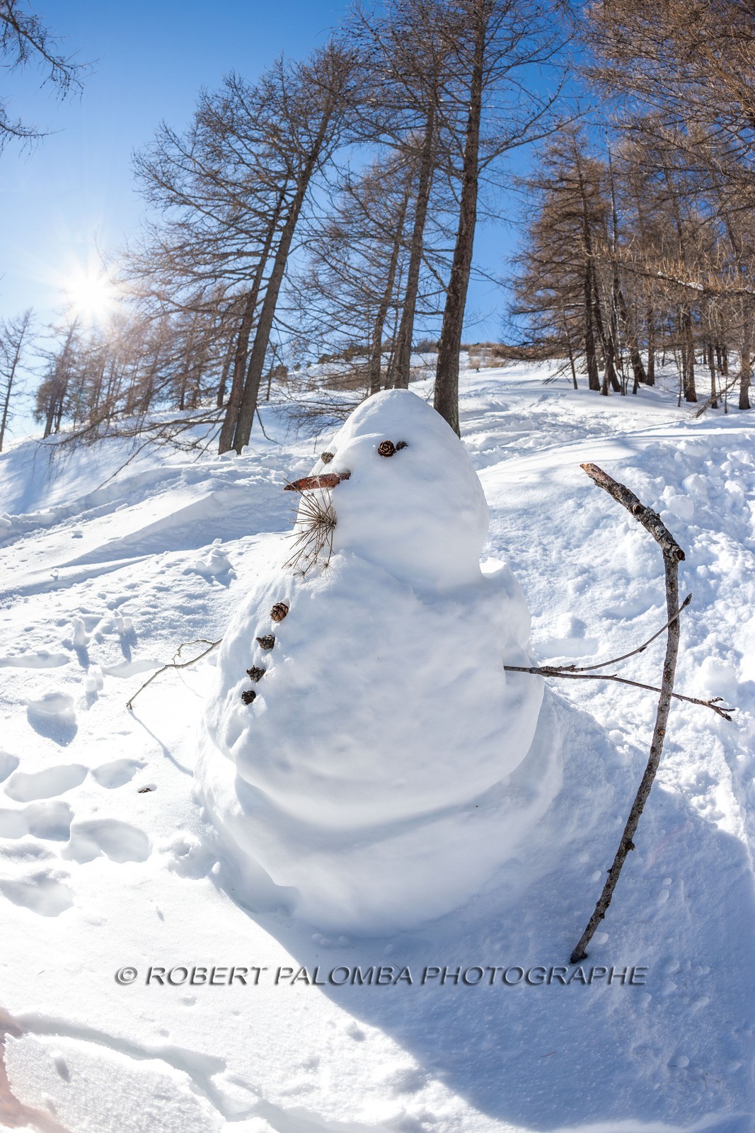 Bonhomme de neige
