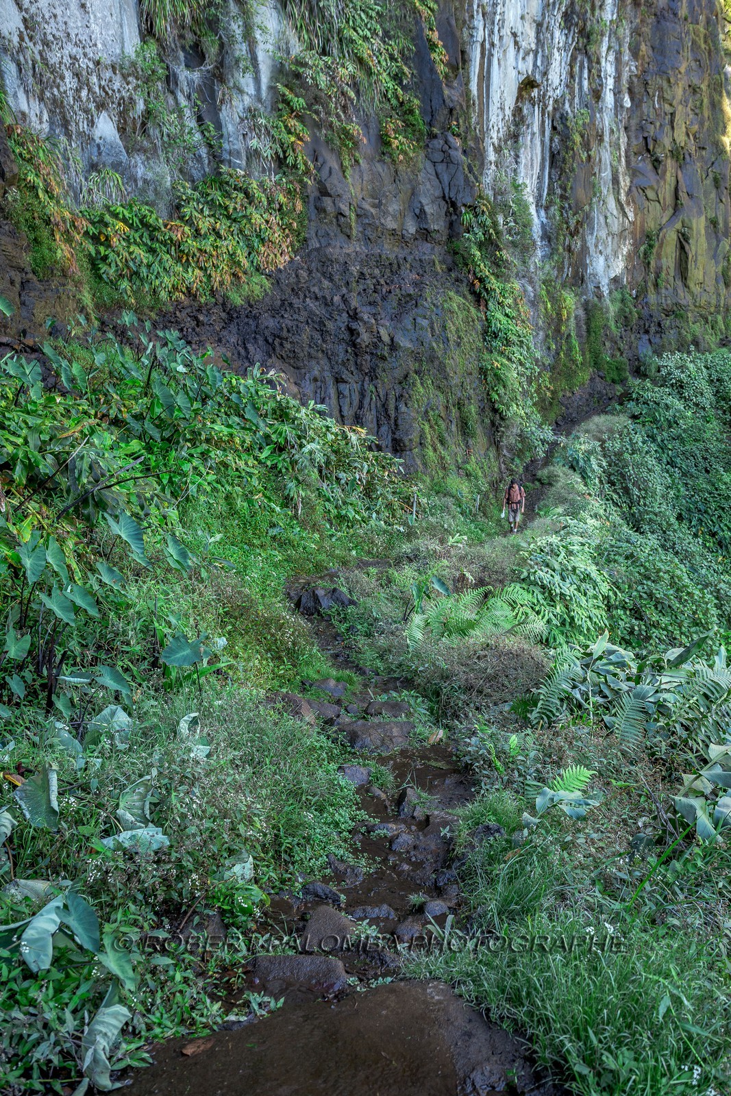 Ile de La Réunion