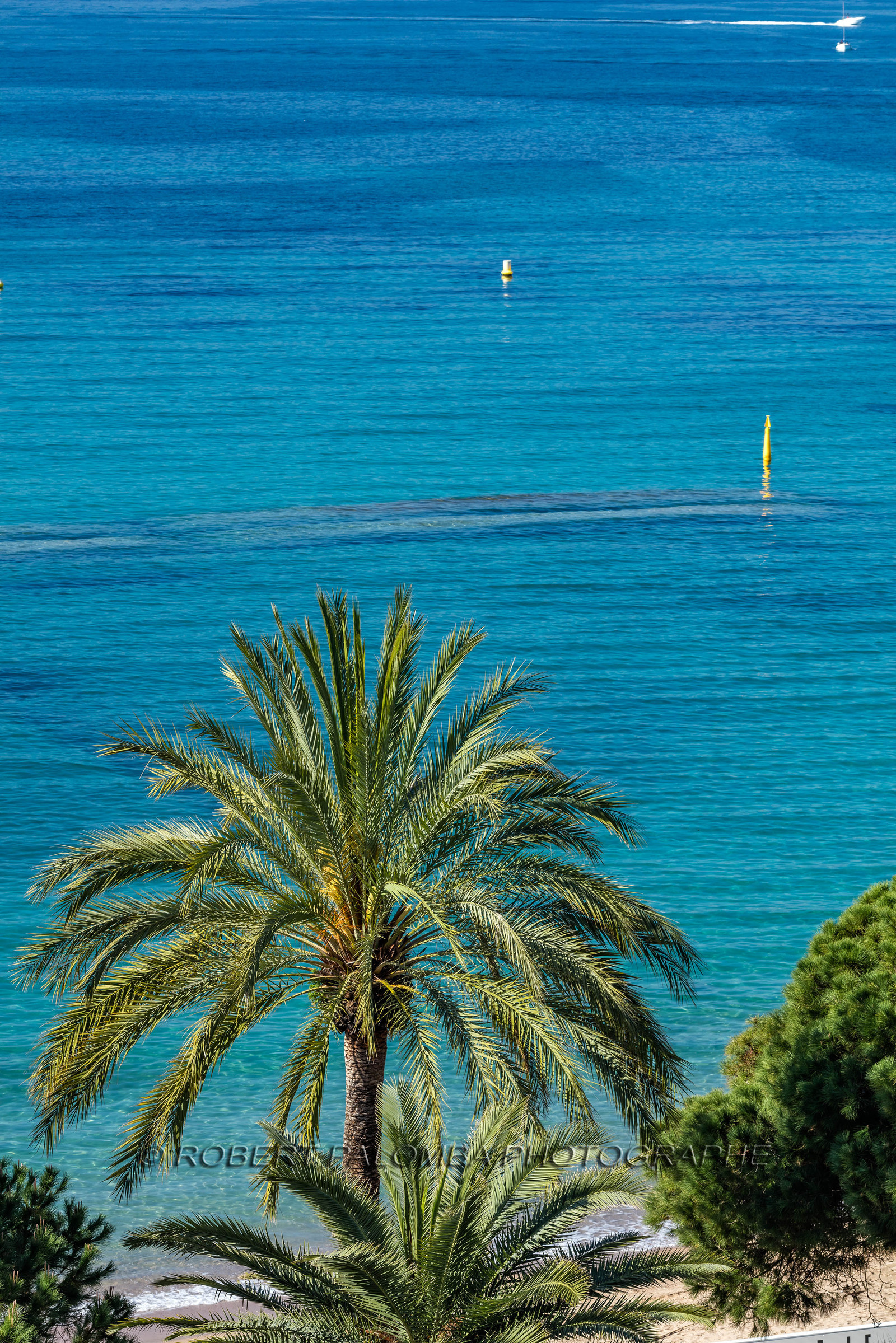 Cannes