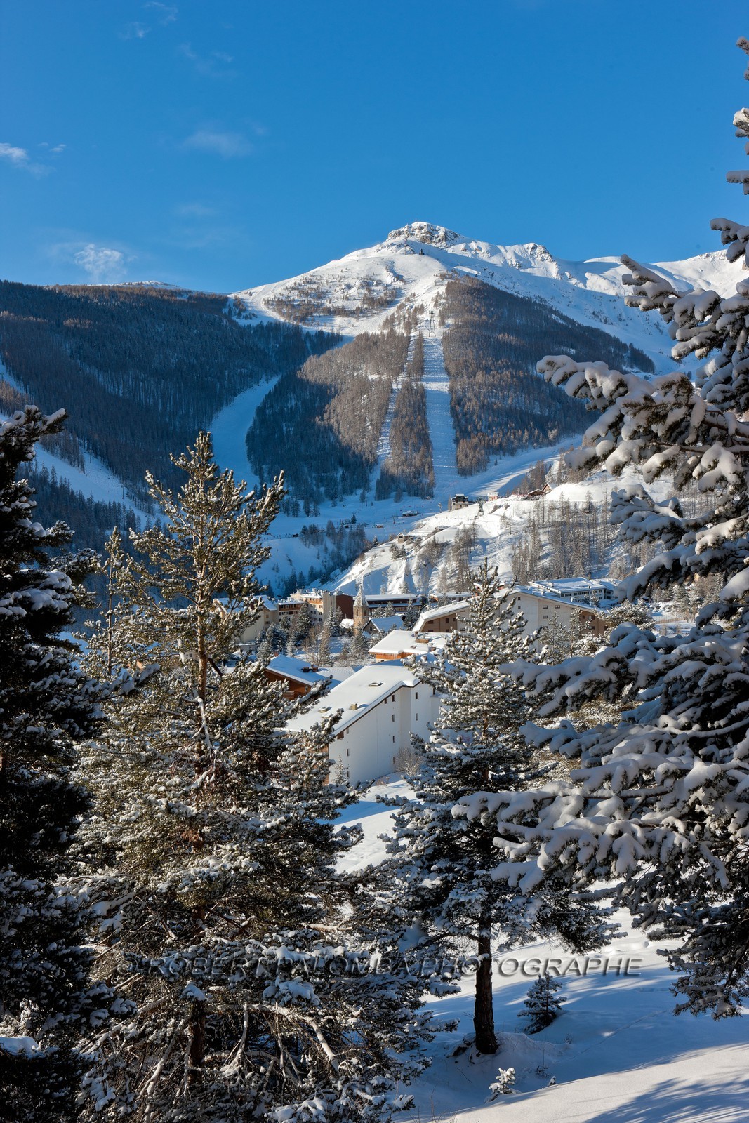 Auron