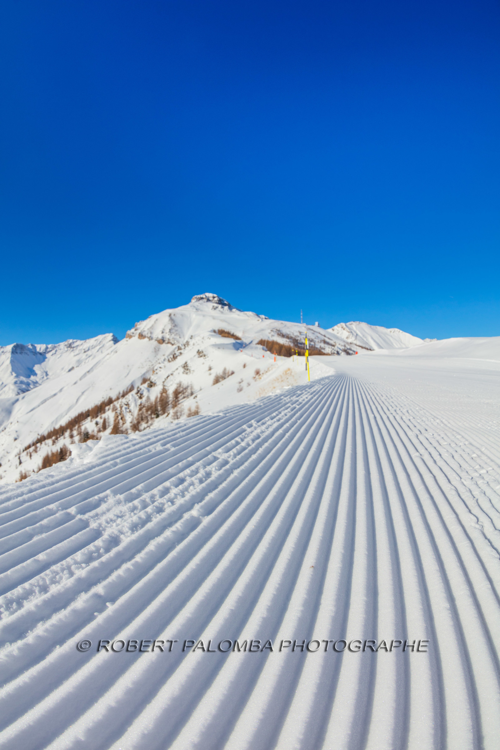 Auron