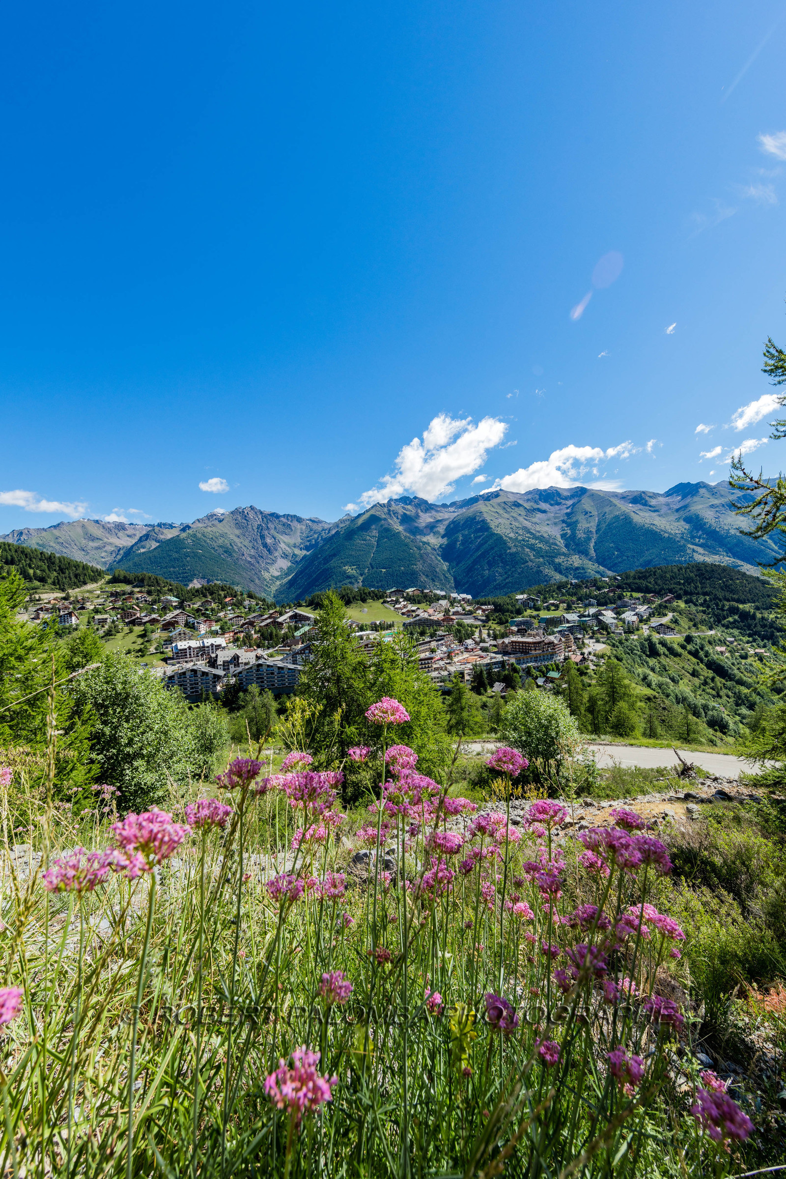 Auron