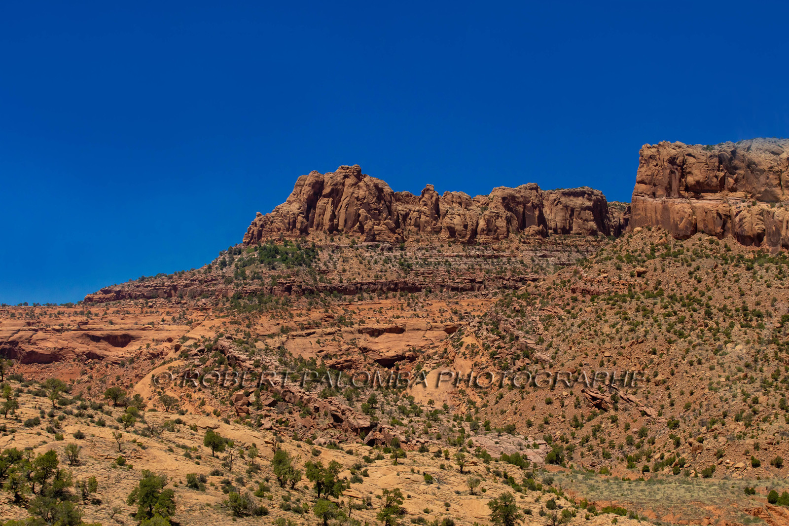 Sur la route pour aller à Monument valley