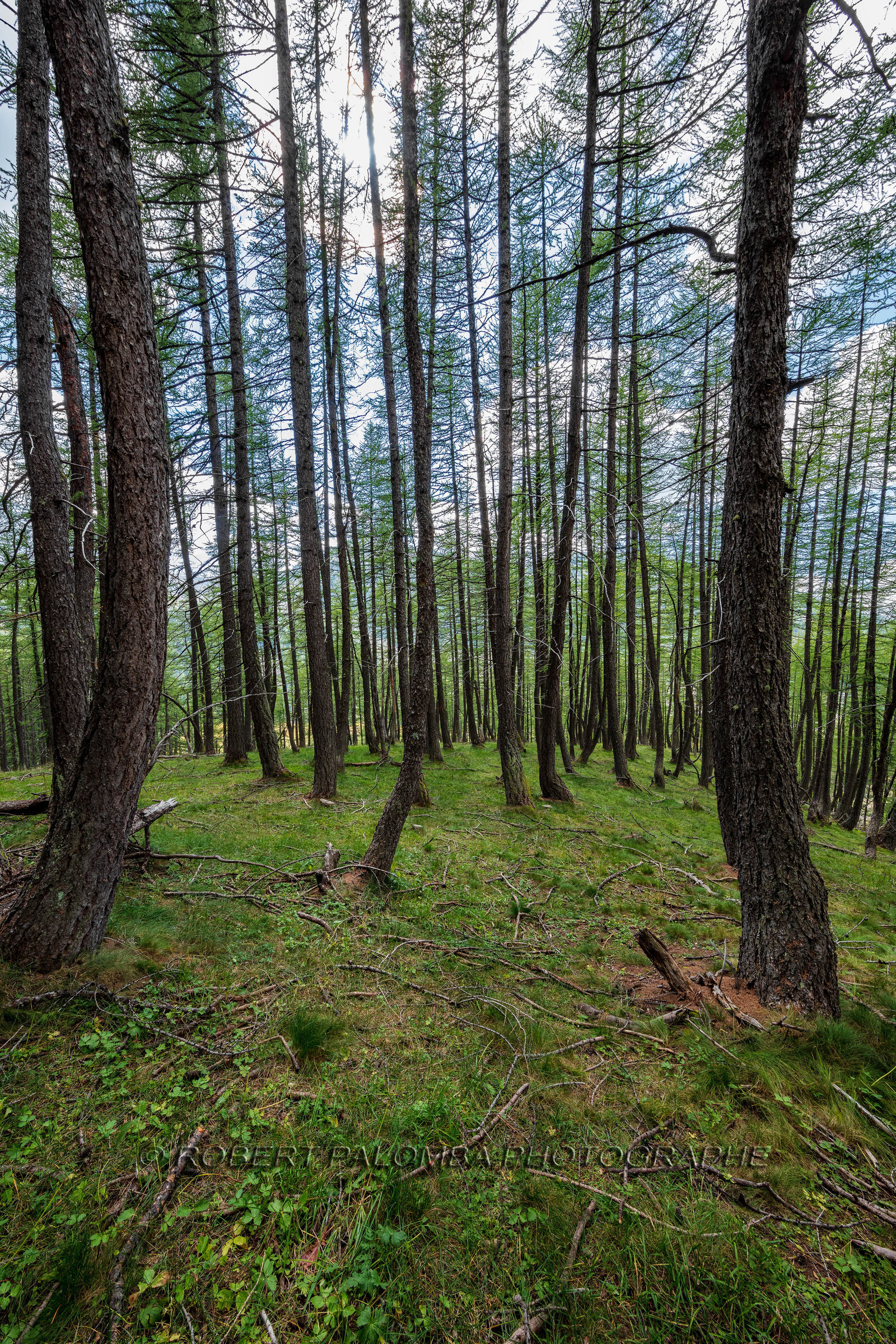 Plateau de Méouille