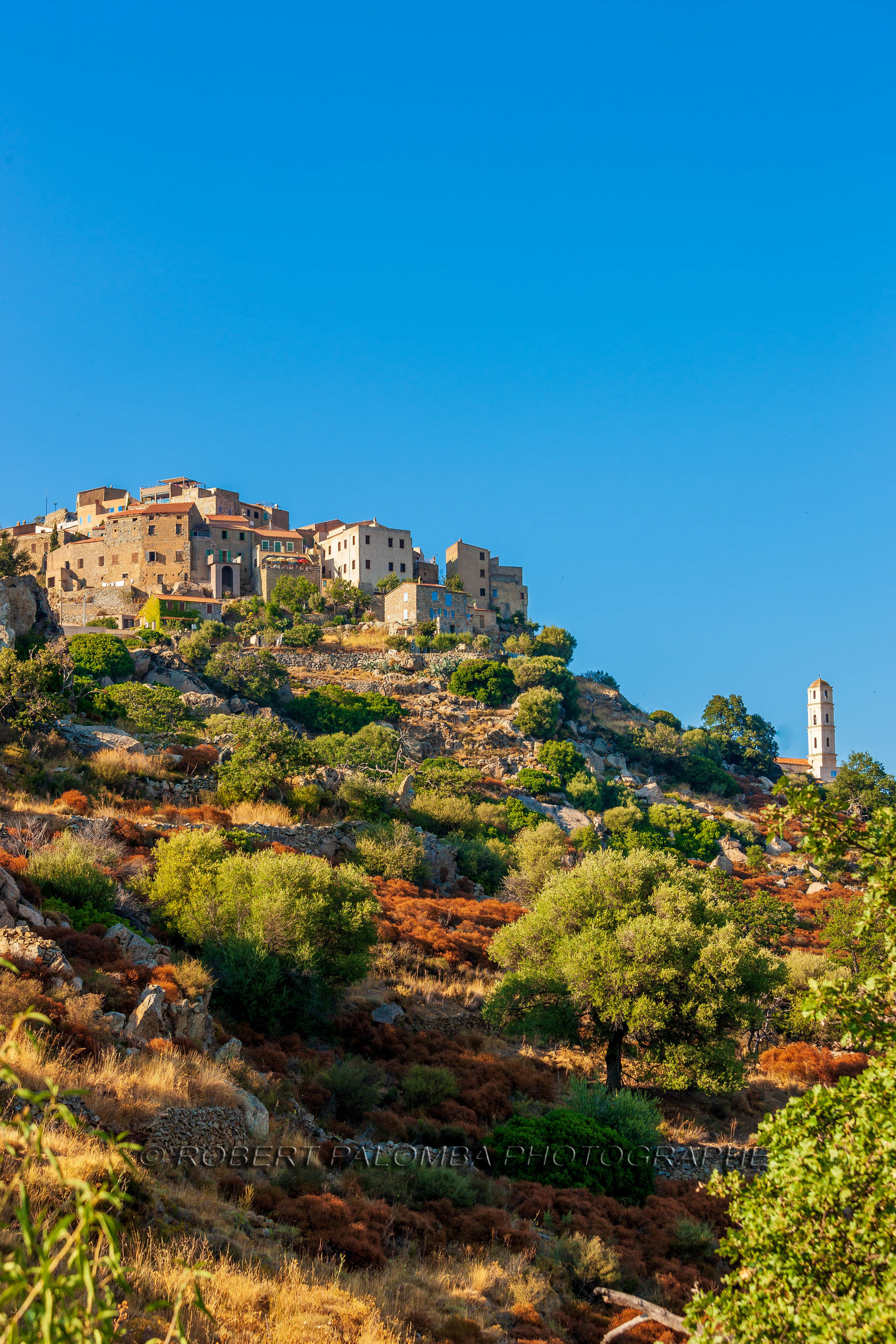 Sant' Antonino