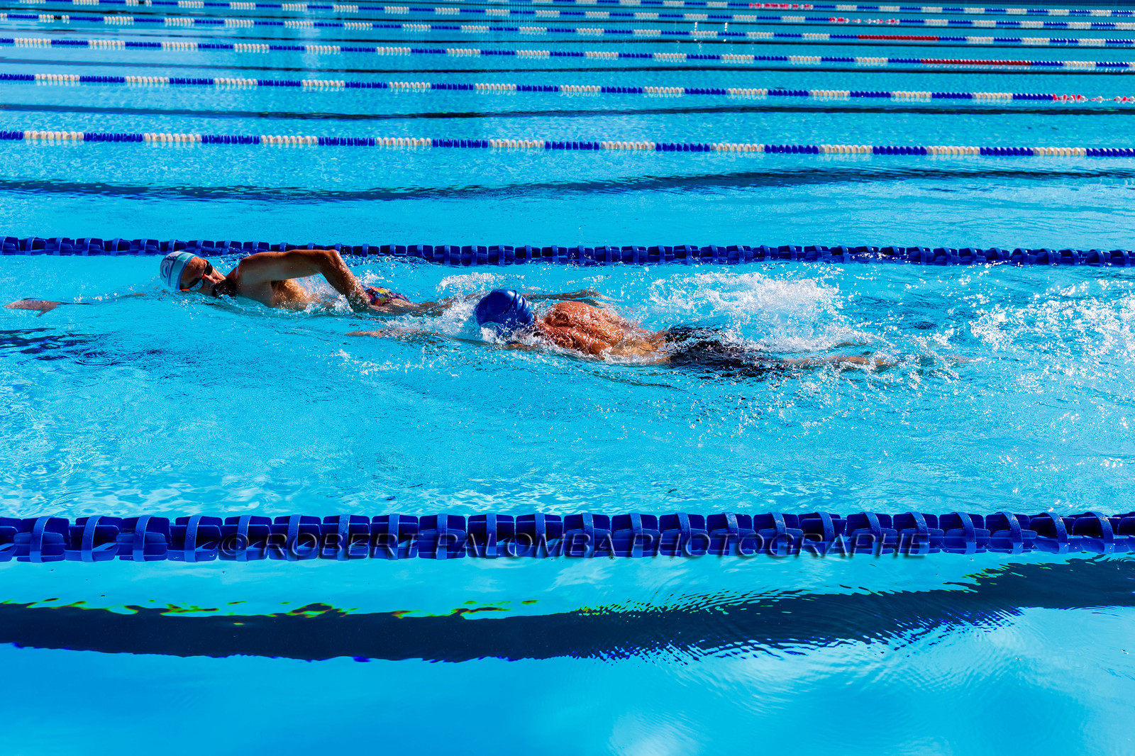 Natation