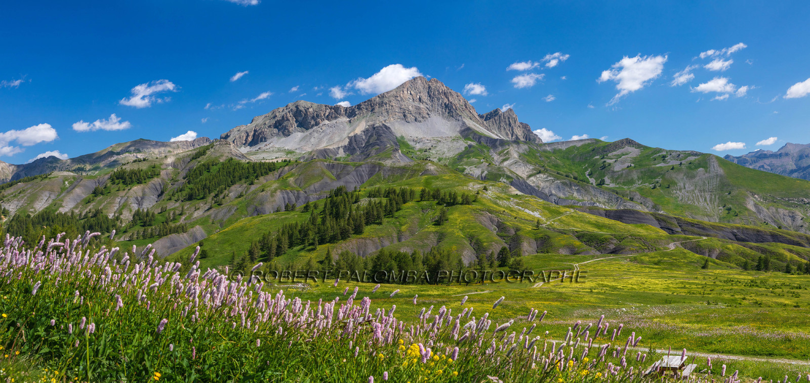 Col des Champs