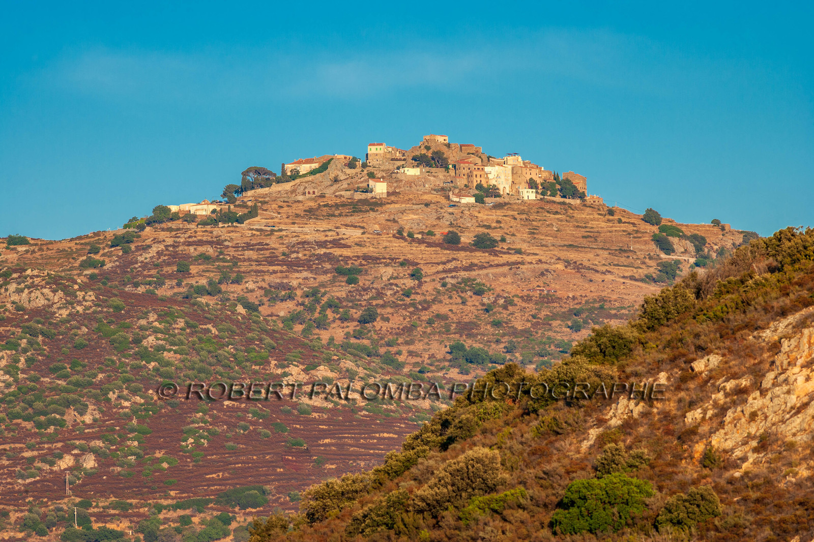 Sant' Antonino