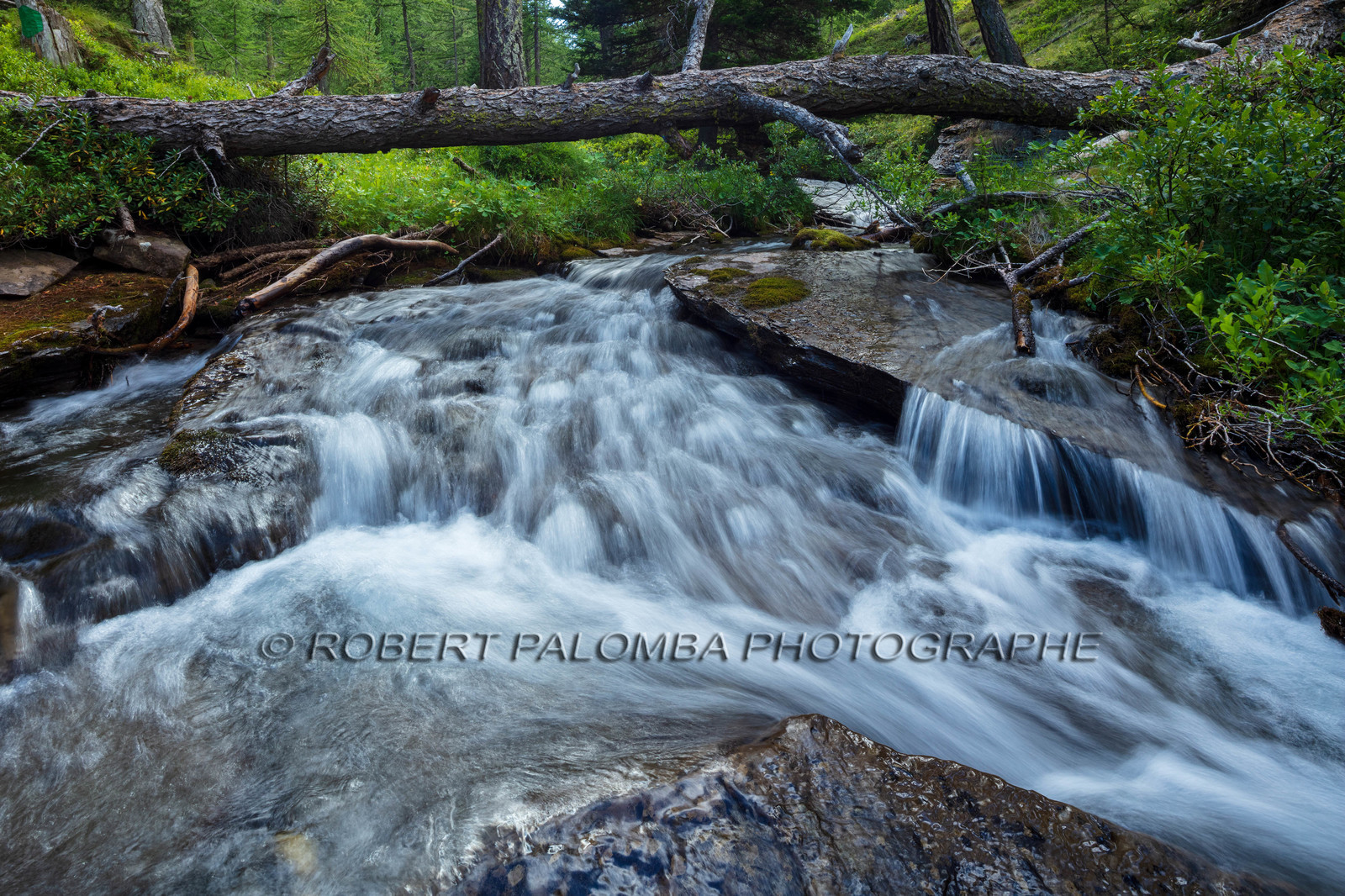 Torrent