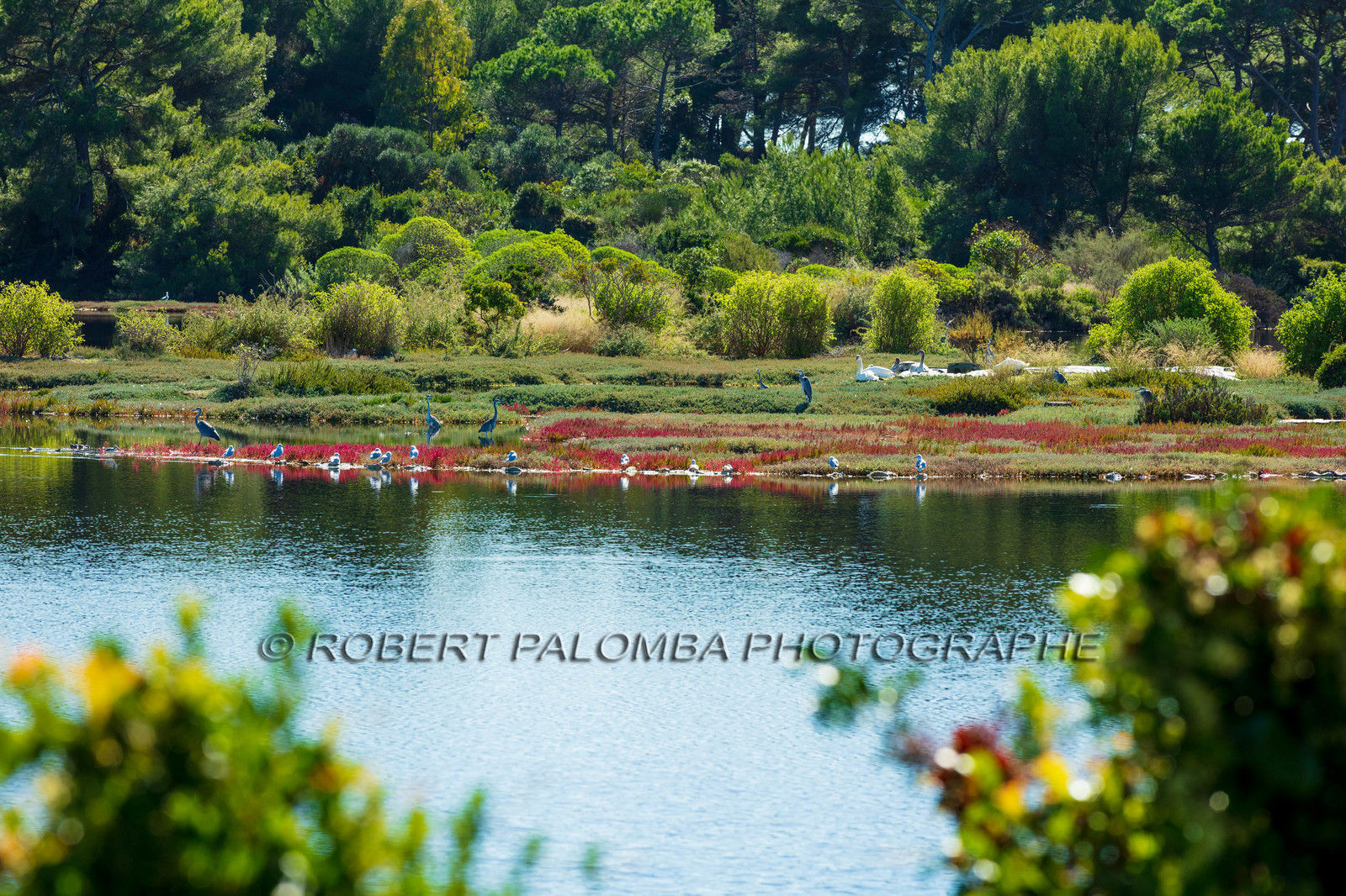 Lérins, Sainte-Marguerite