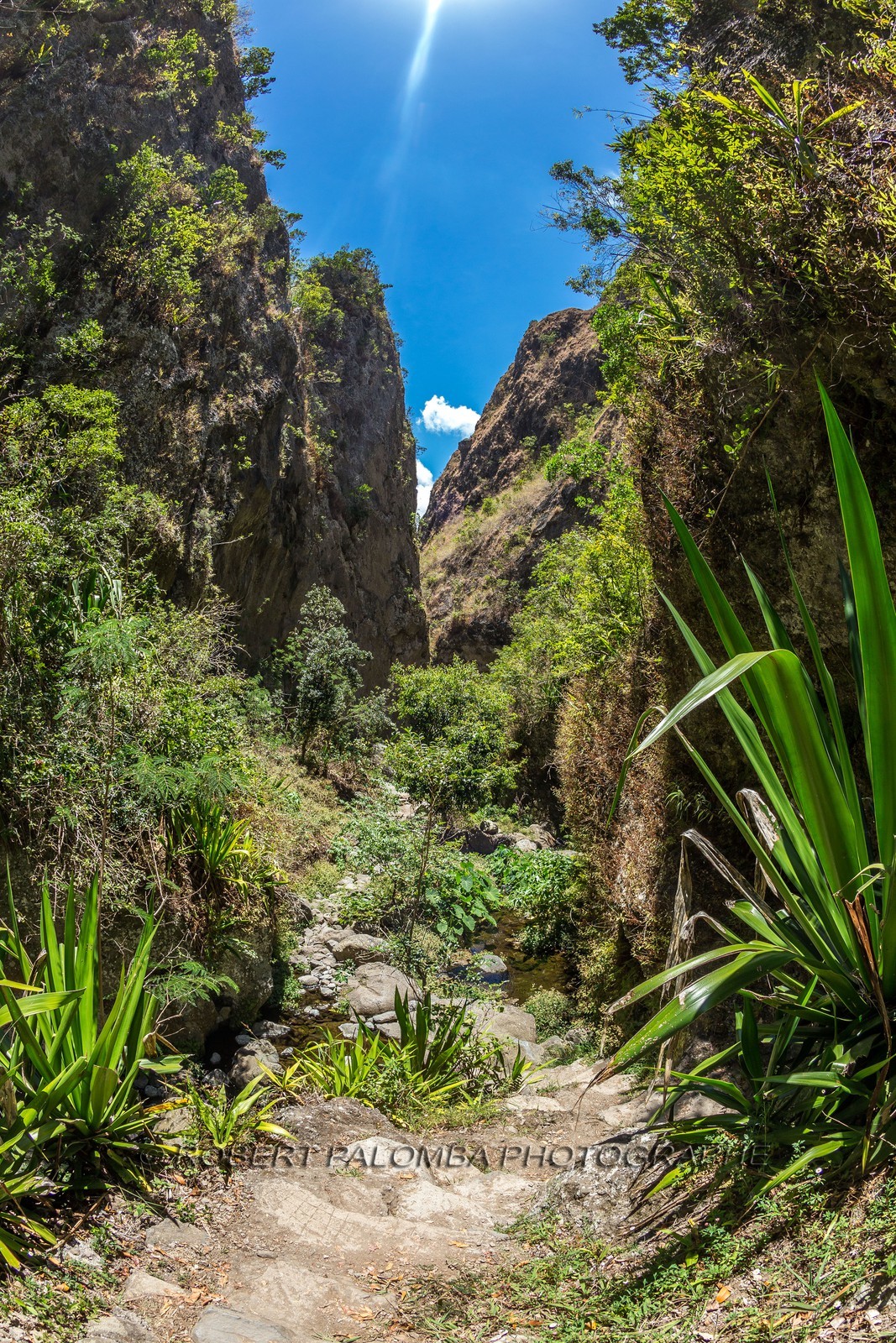 Ile de La Réunion