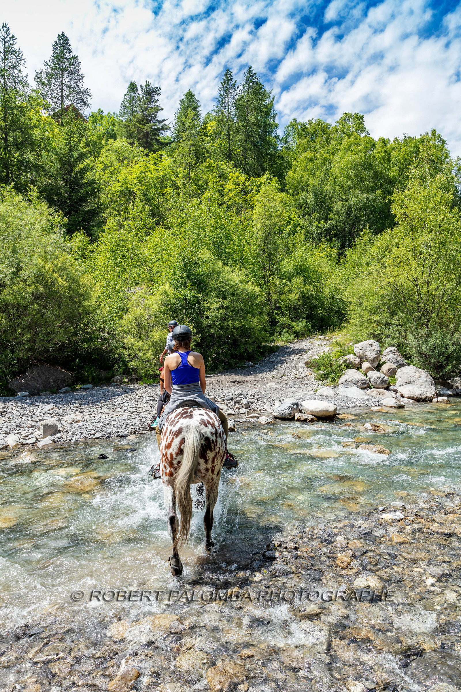 Equitation