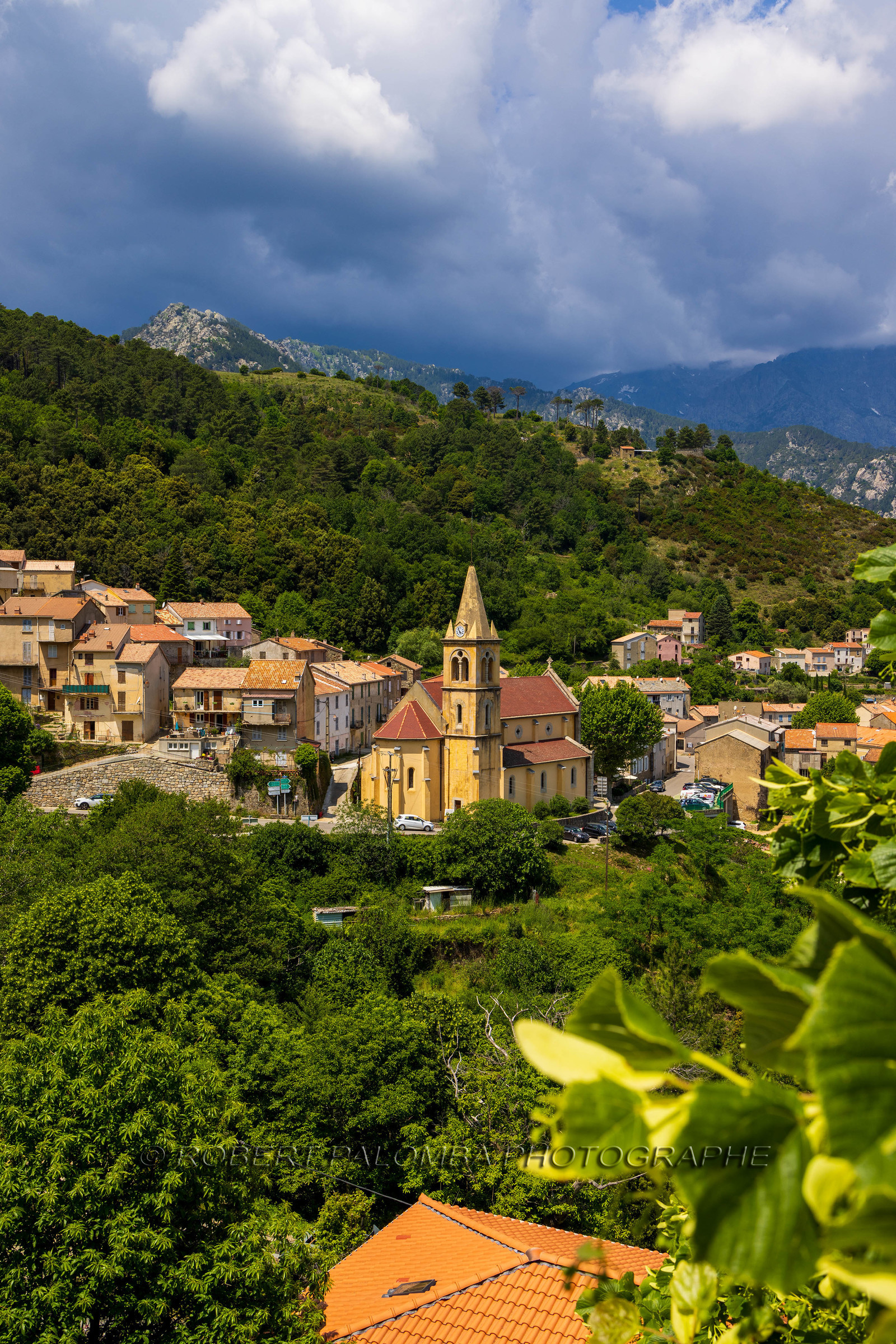 Vivario