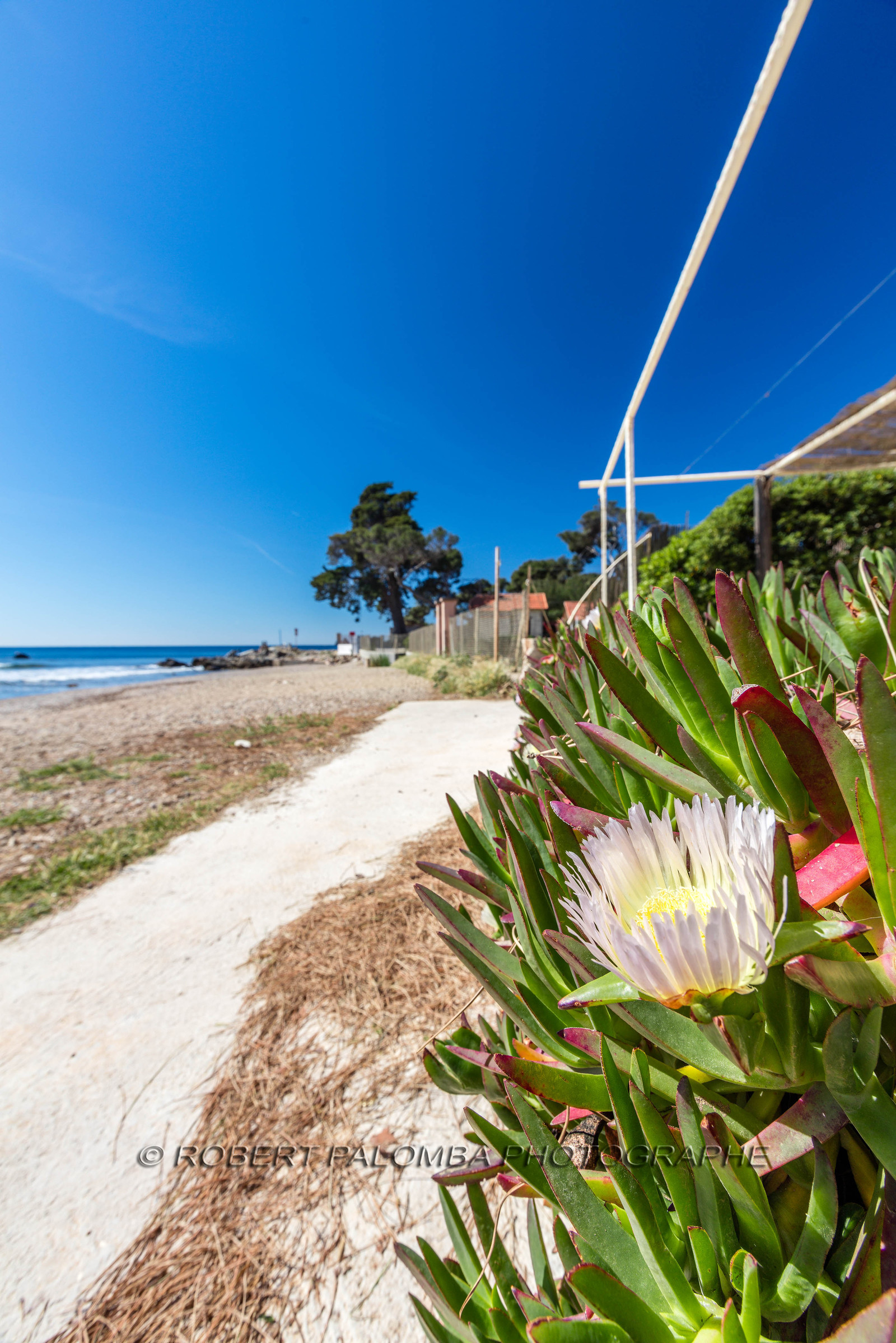 Plage de la Verne
