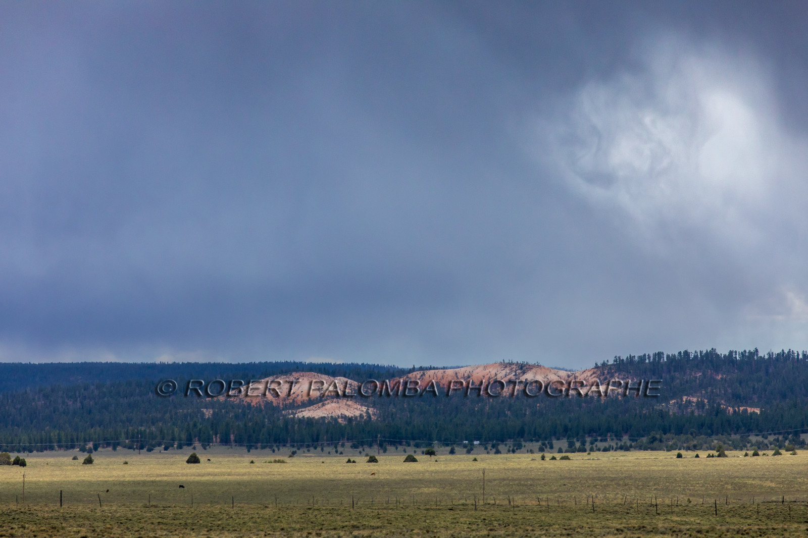 Bryce Canyon