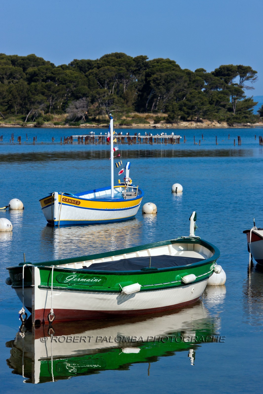 Pointus du Brusc