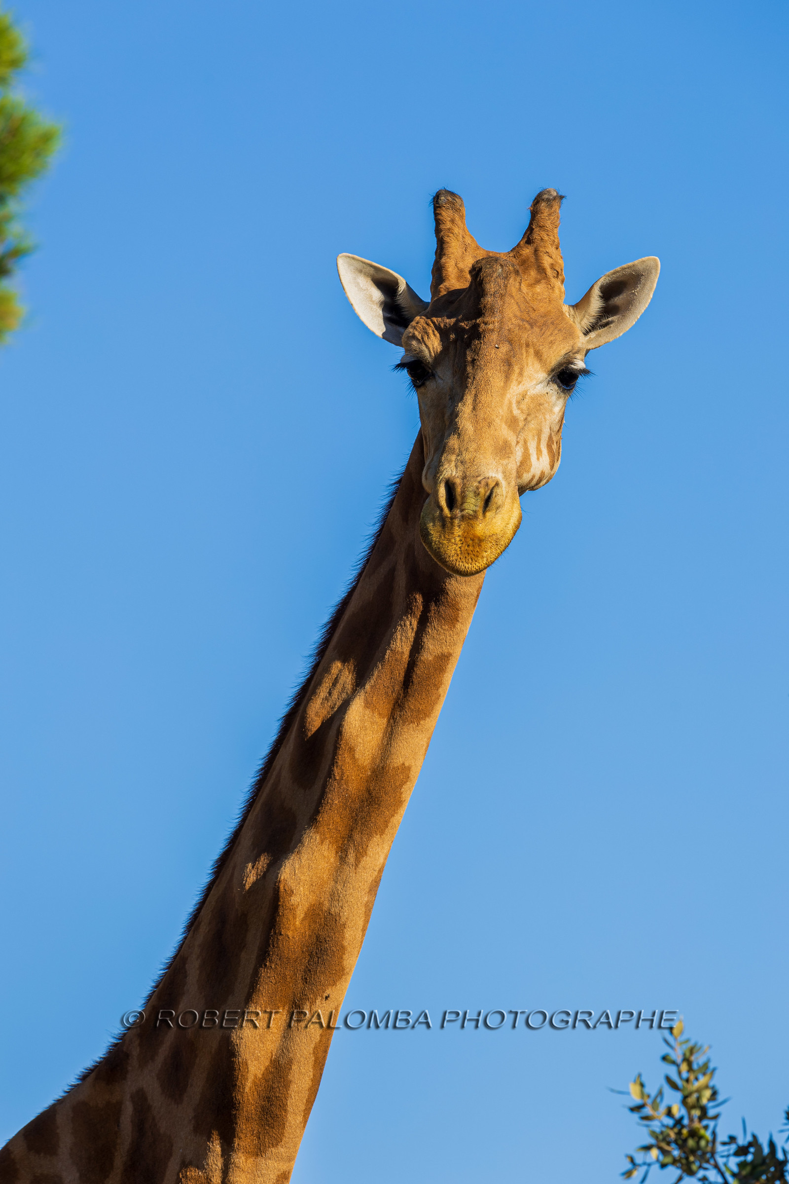Parc animalier de la Barben