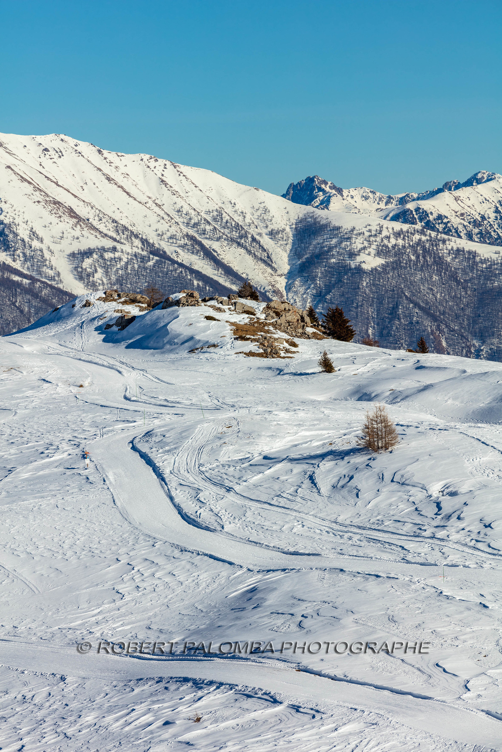 Auron