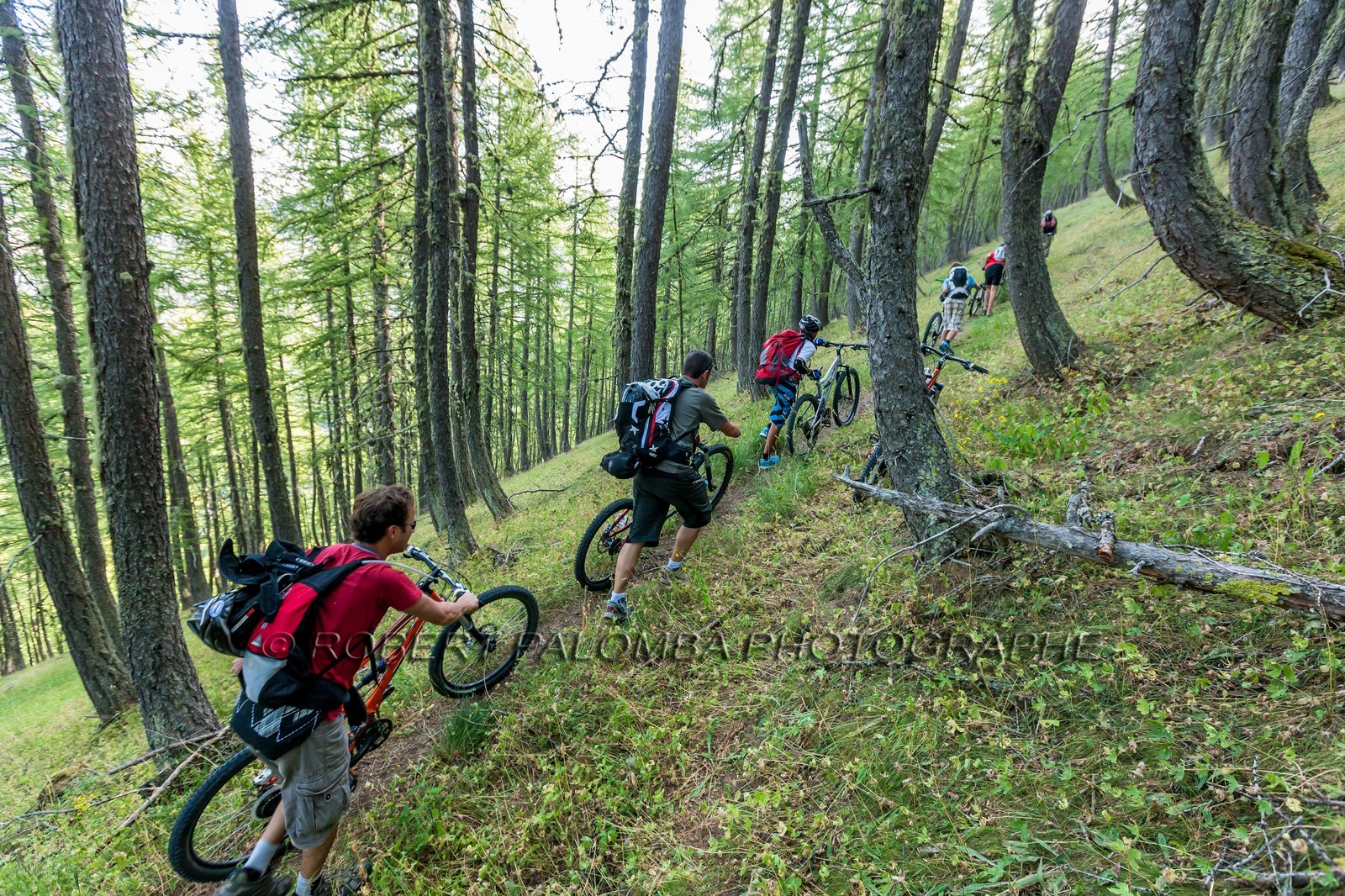 Rando Vtt Lacs de Lignin