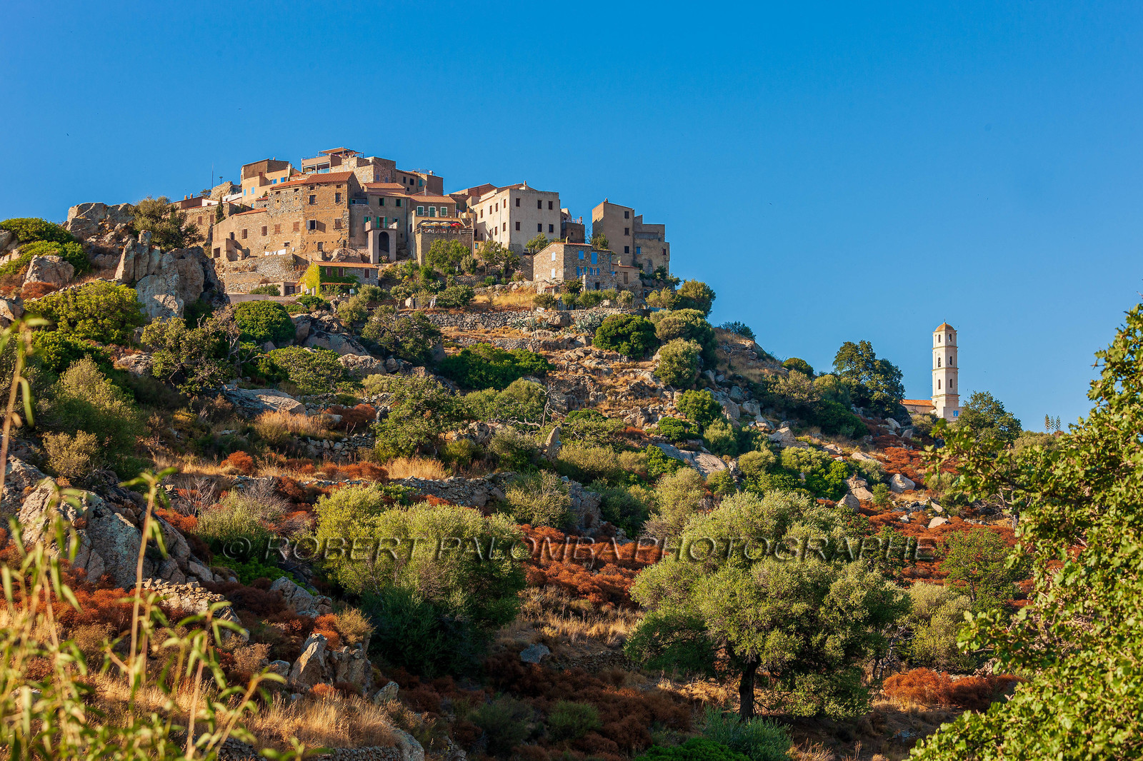 Sant' Antonino