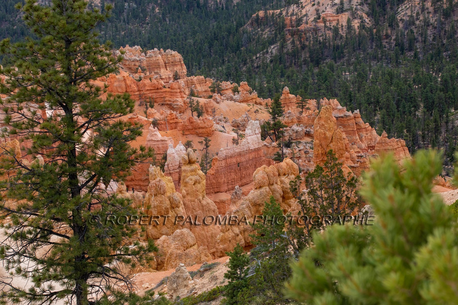Bryce Canyon