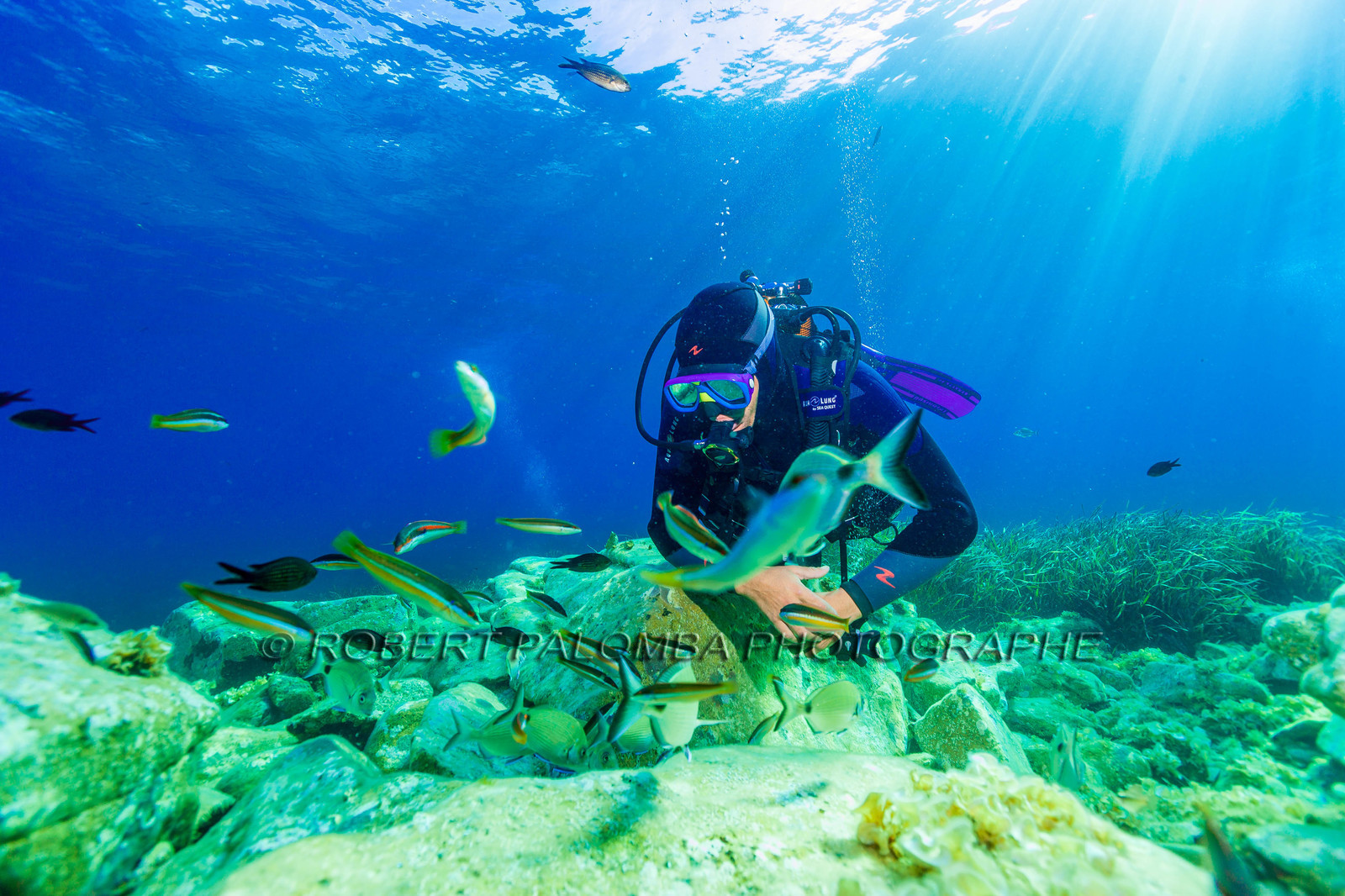 Plongée-sous-marine