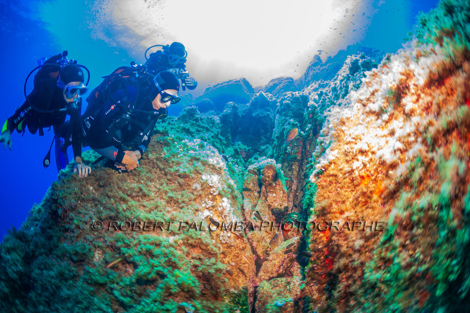 Plongée-sous-marine