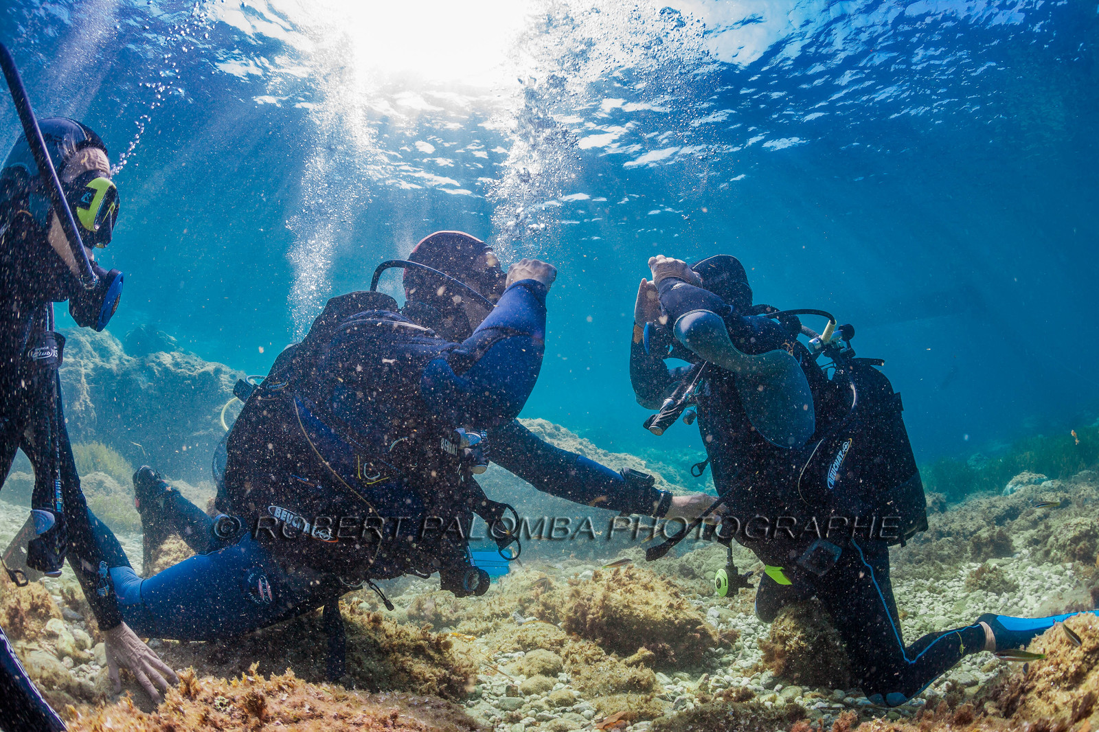 Plongée sous-marine