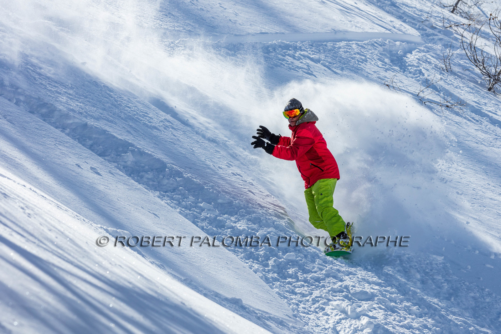 Snowboard
