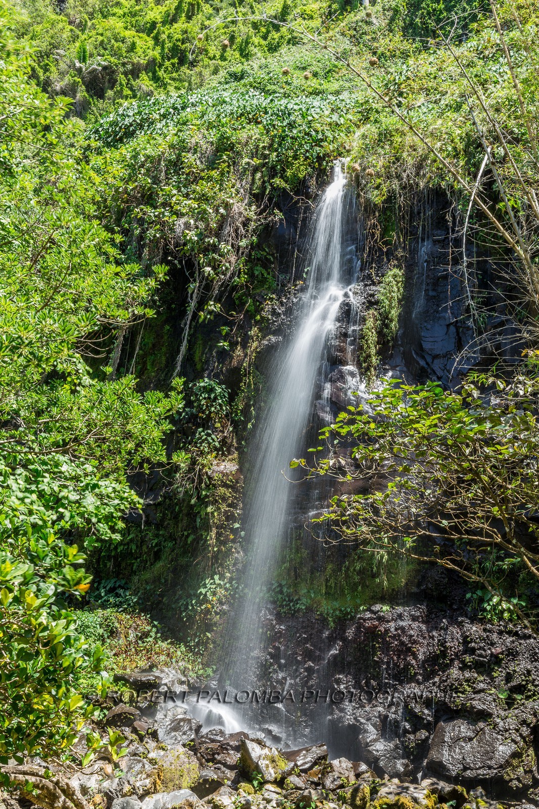 Ile de La Réunion