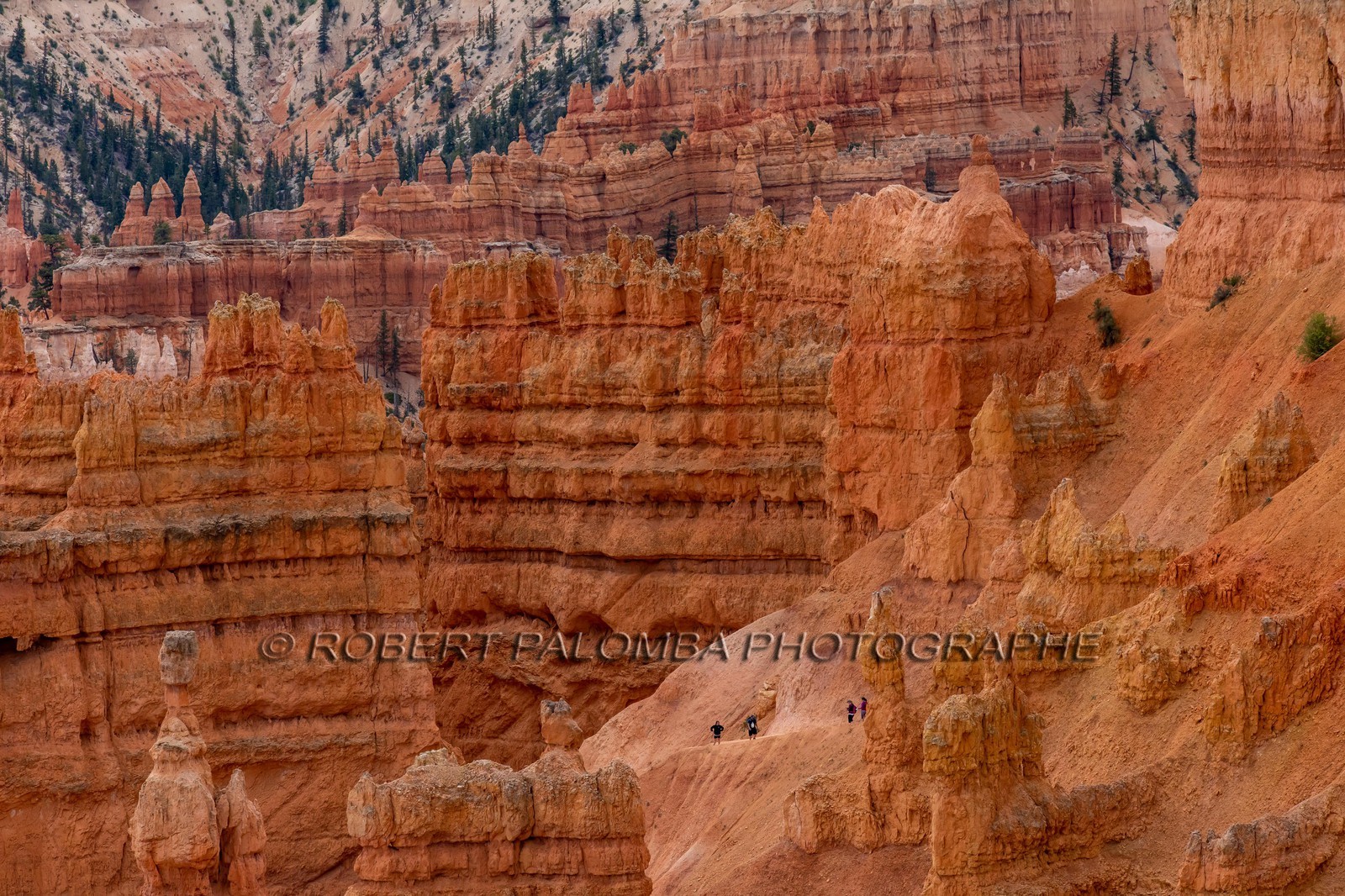 Bryce Canyon