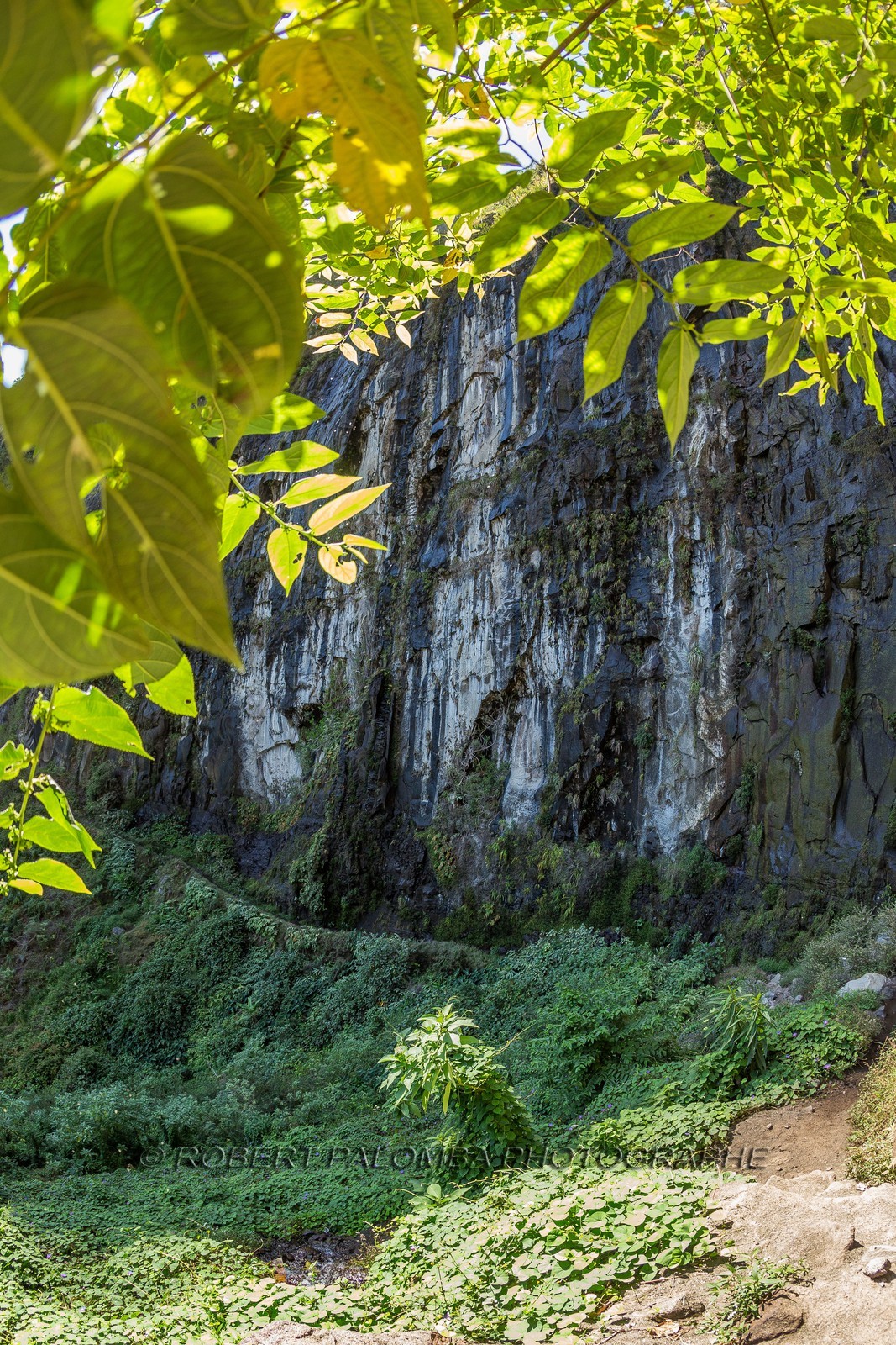 Ile de La Réunion