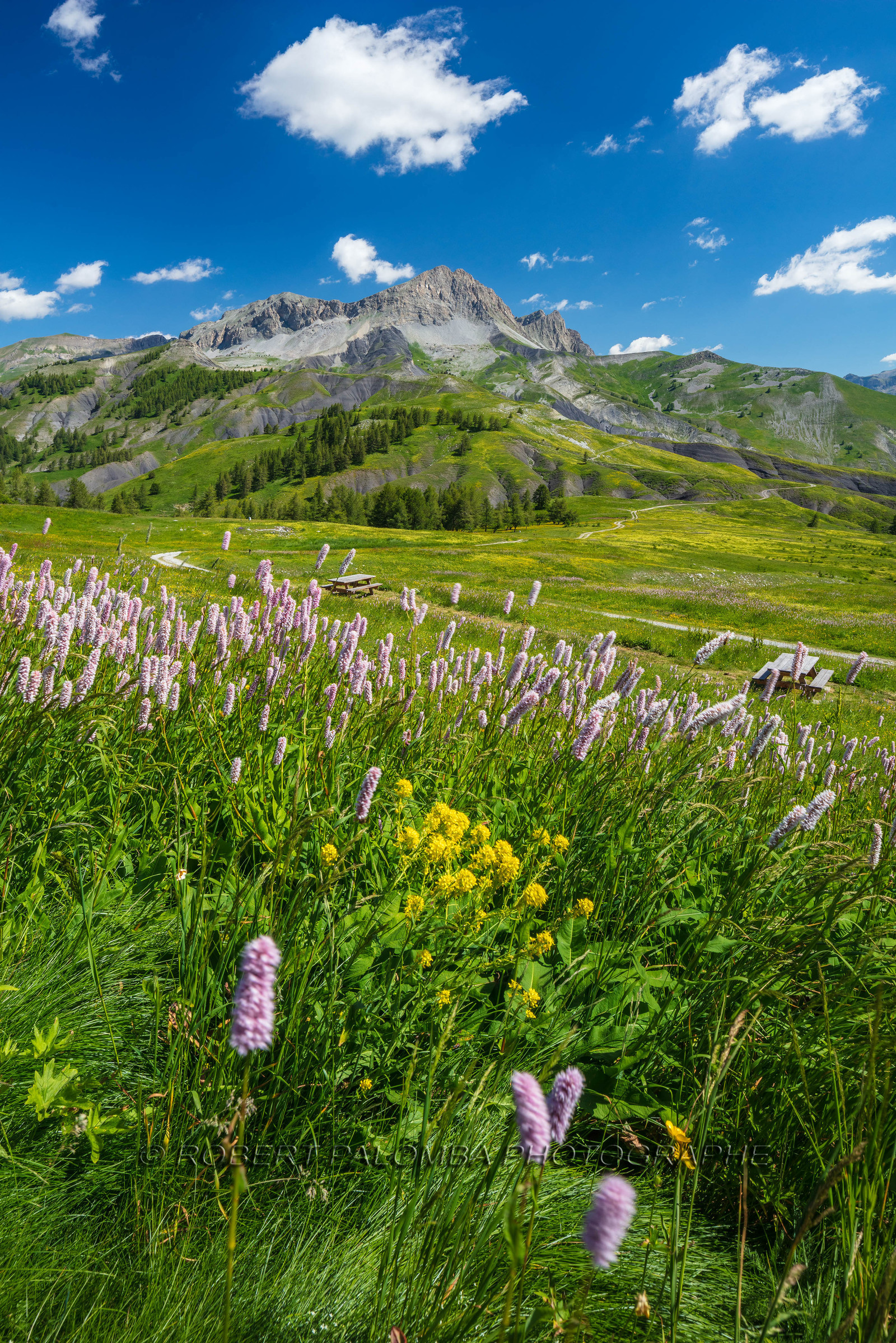 Col des Champs
