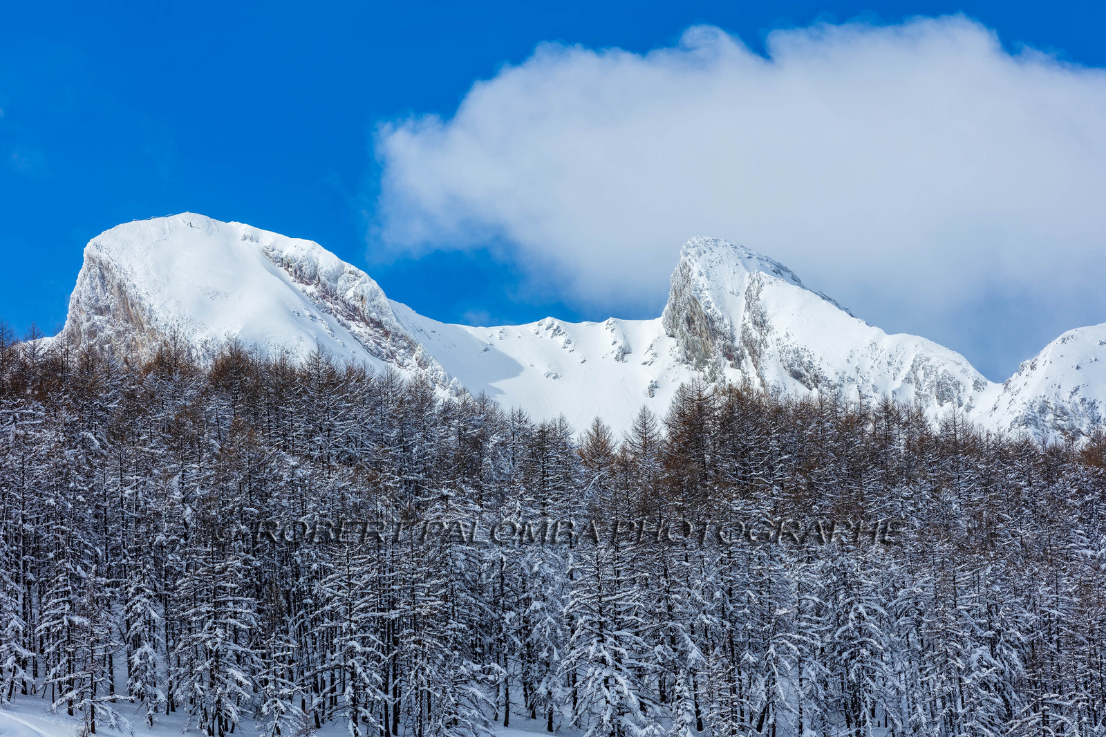 La Foux-d'Allos