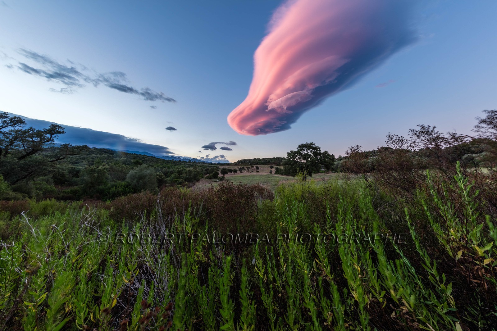Lenticulaire