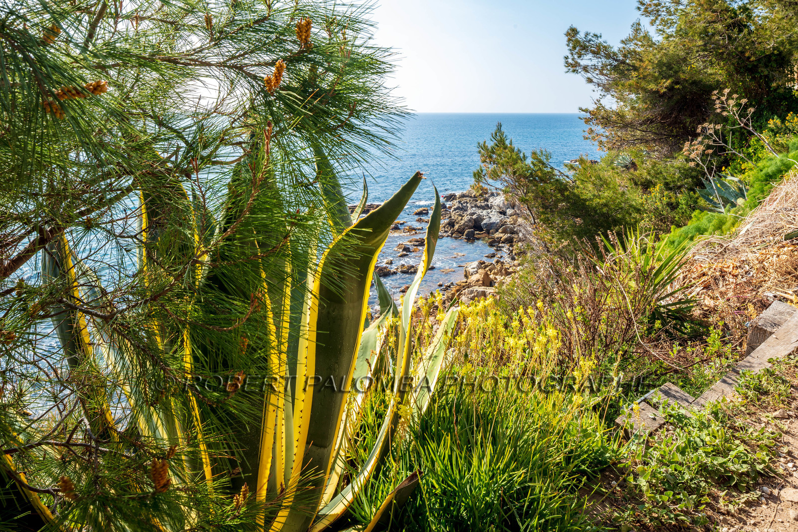 Saint-Mandrier-sur-Mer