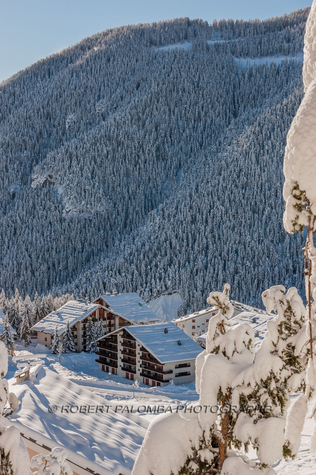 Auron
