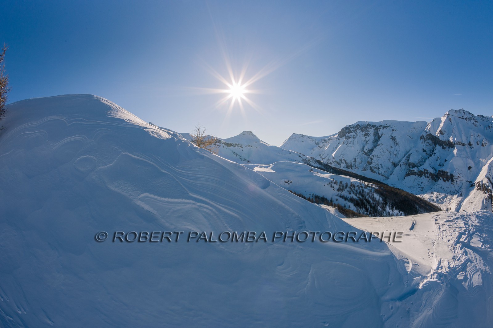 Auron