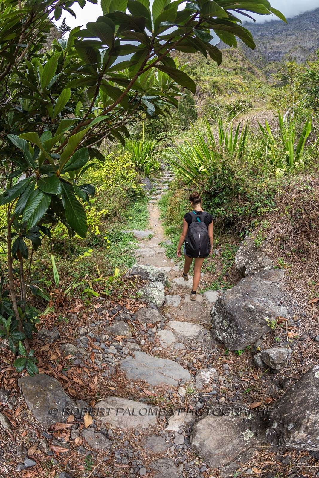 Ile de La Réunion