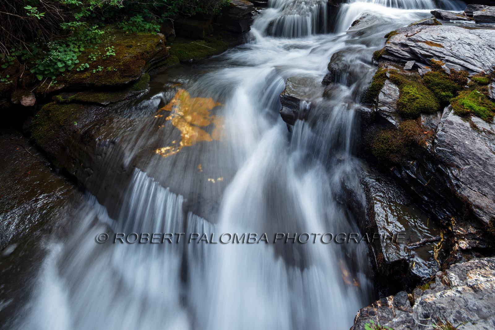 Torrent