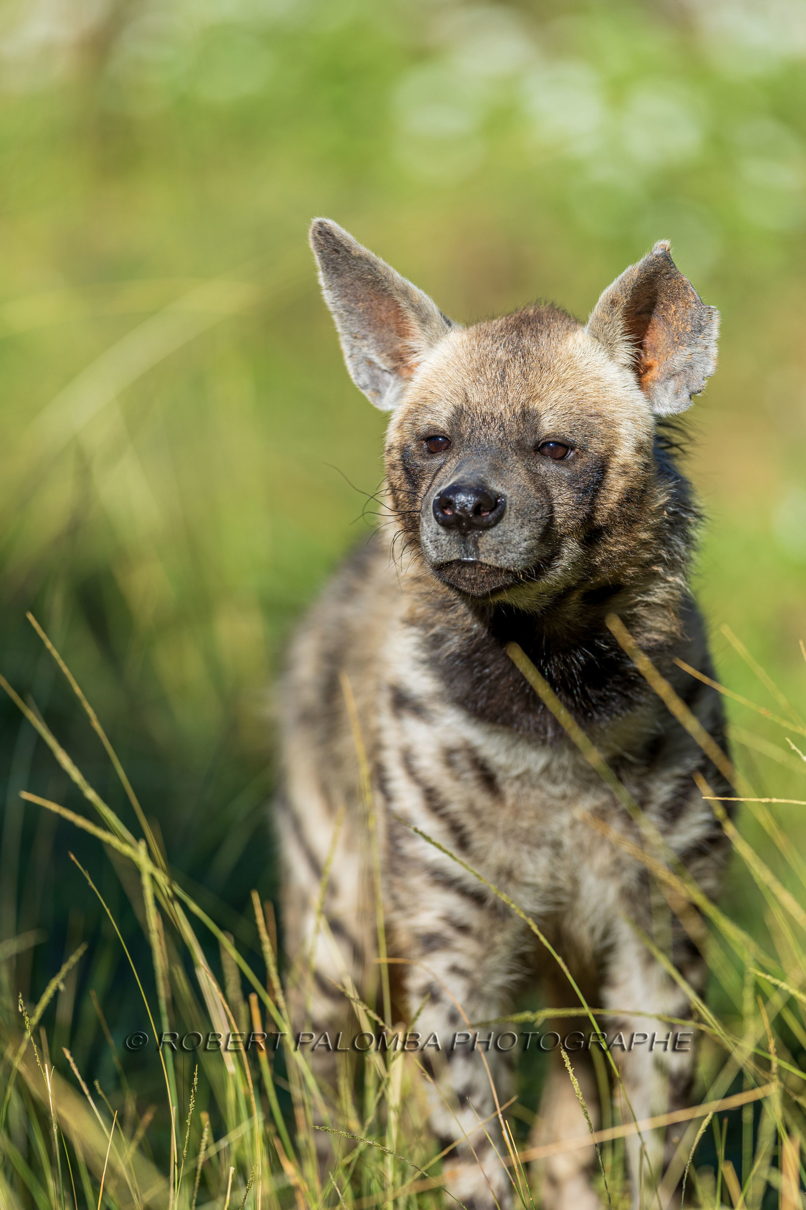 Parc animalier de la Barben