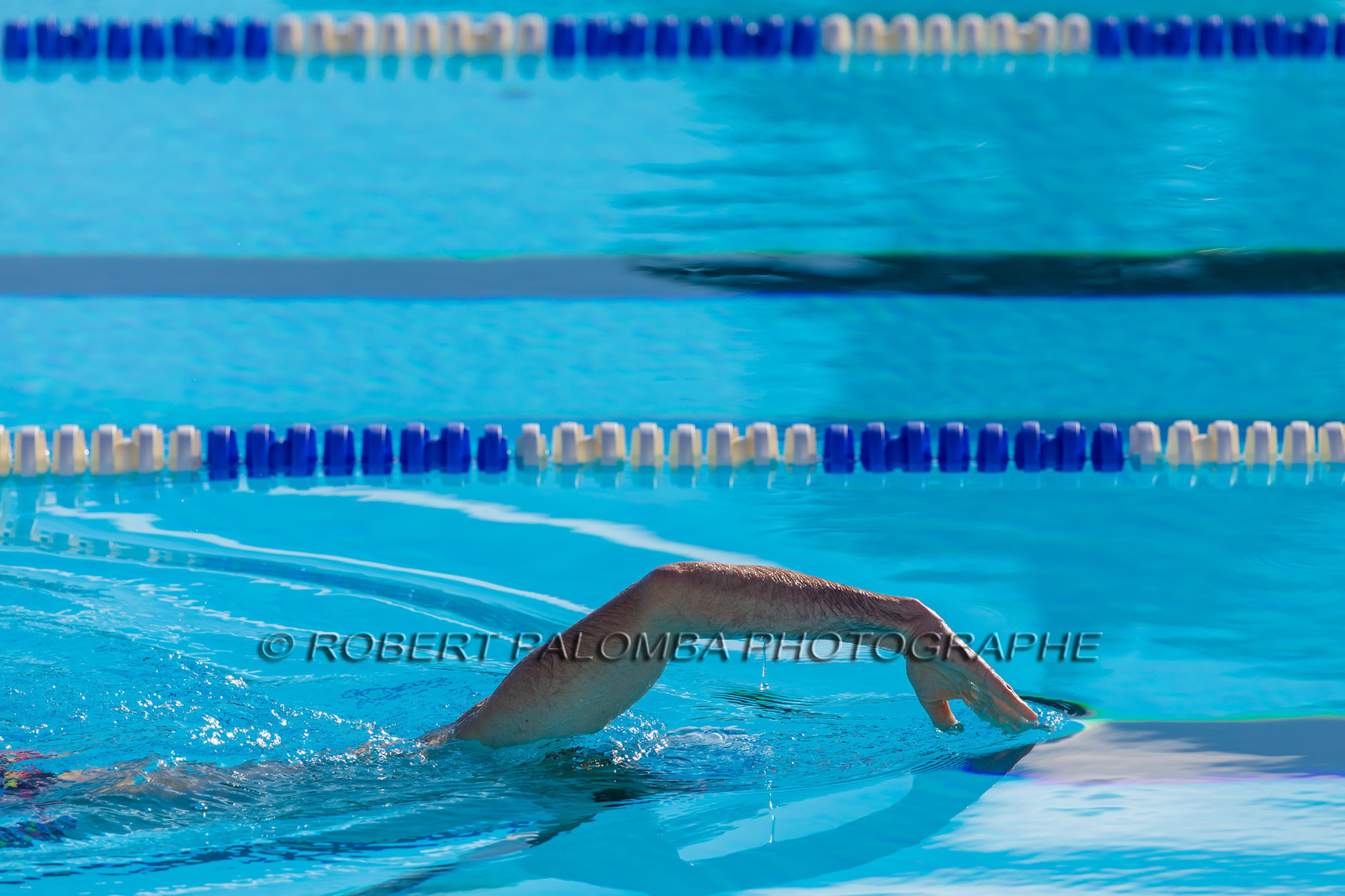 Natation