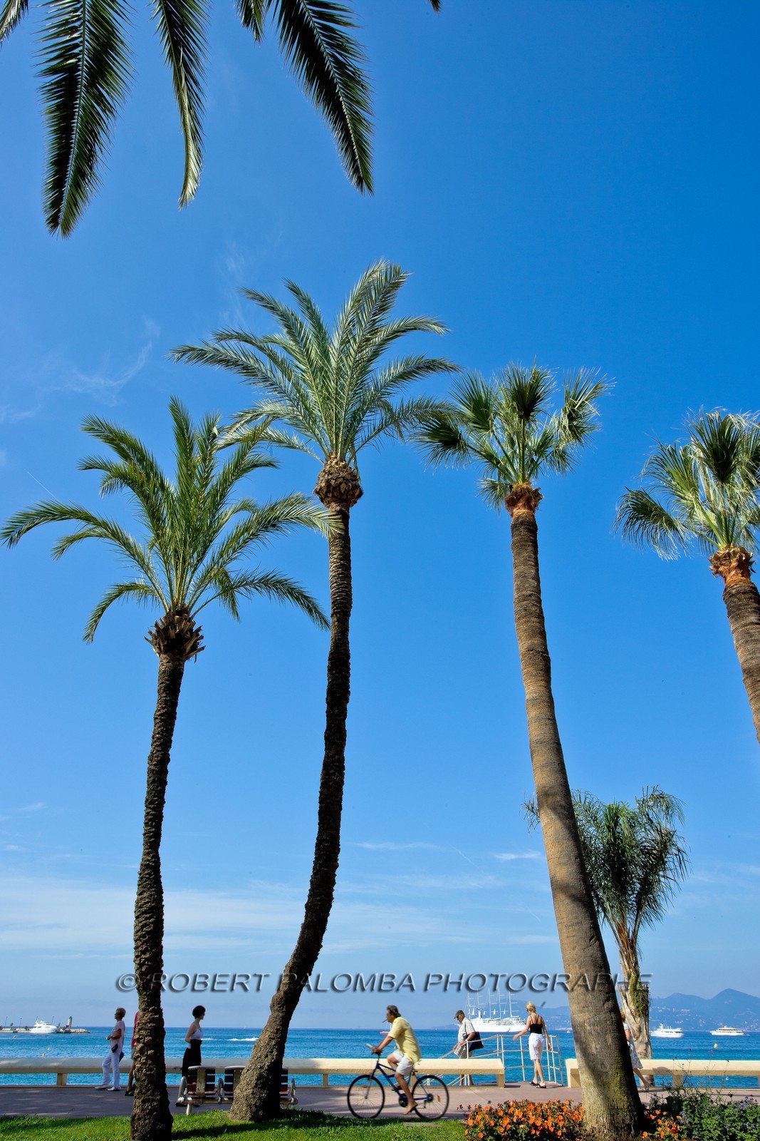 Cannes